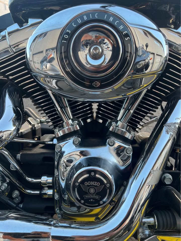 HARLEY-DAVIDSON FXSB Breakout 103 ABS-image-3