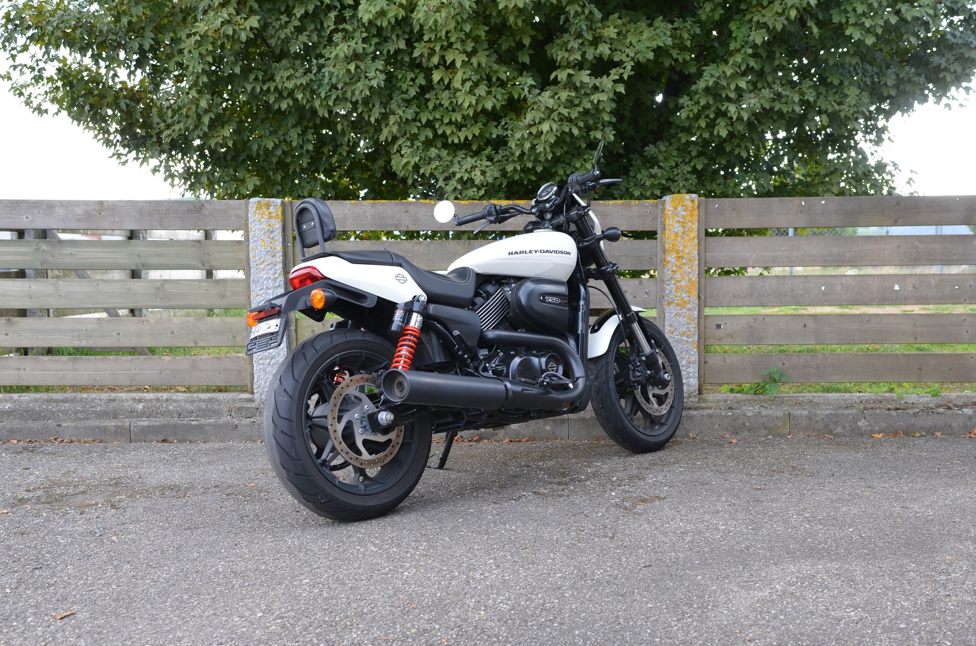 HARLEY-DAVIDSON XG 750 Street Rod-image-1