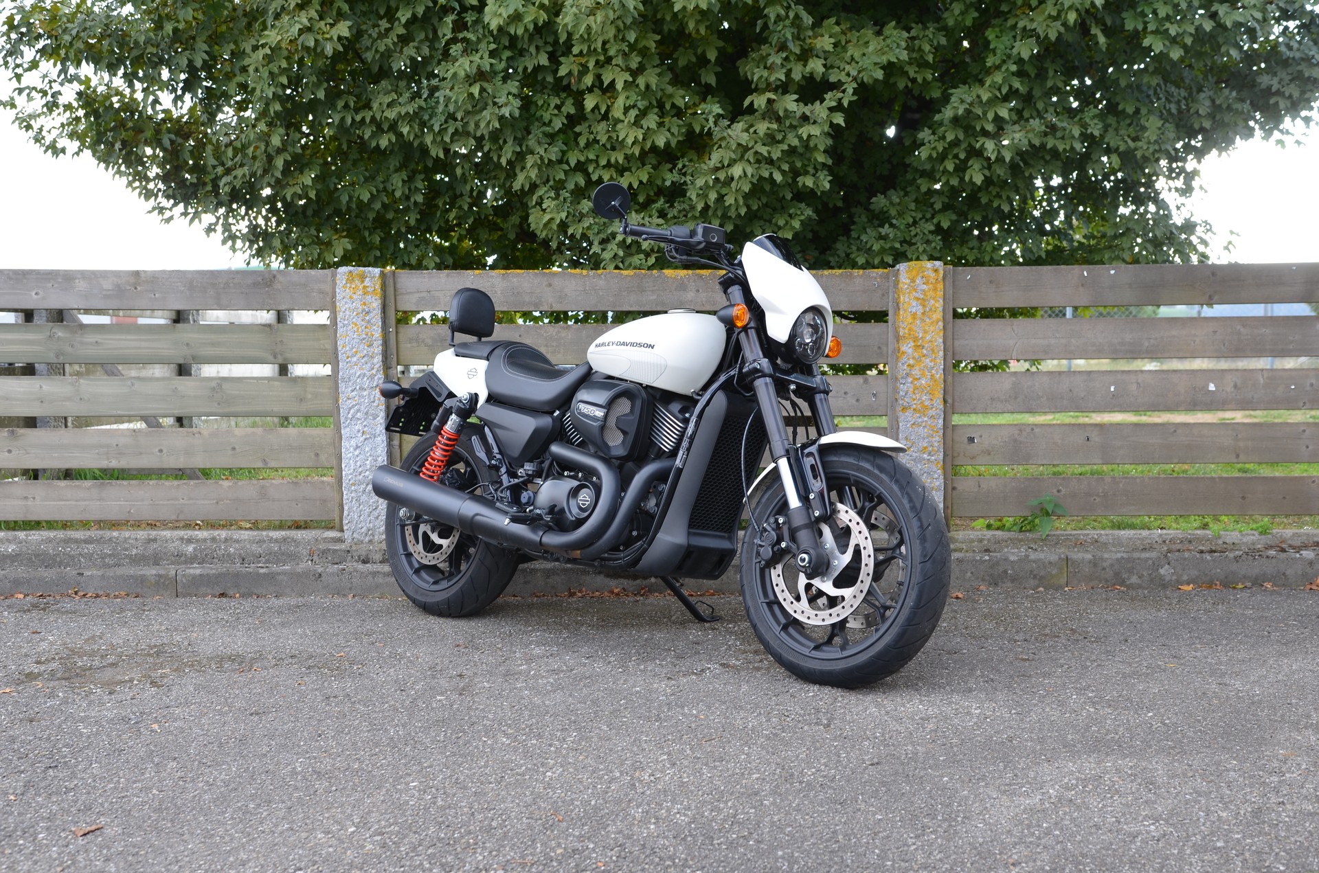 HARLEY-DAVIDSON XG 750 Street Rod-image-2