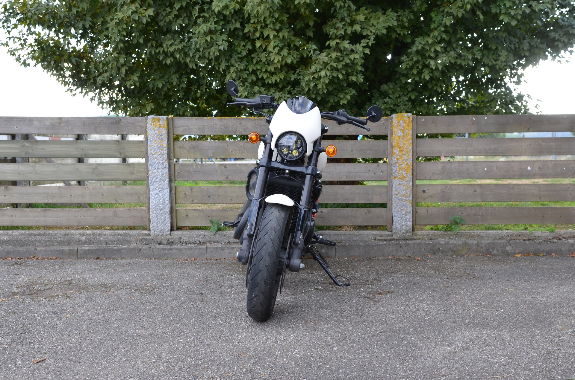 HARLEY-DAVIDSON XG 750 Street Rod-image-3