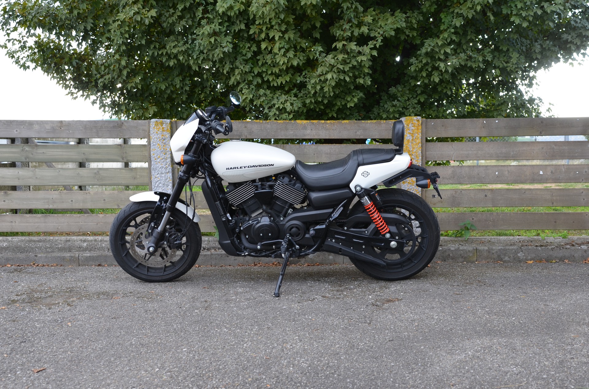 HARLEY-DAVIDSON XG 750 Street Rod-image-5