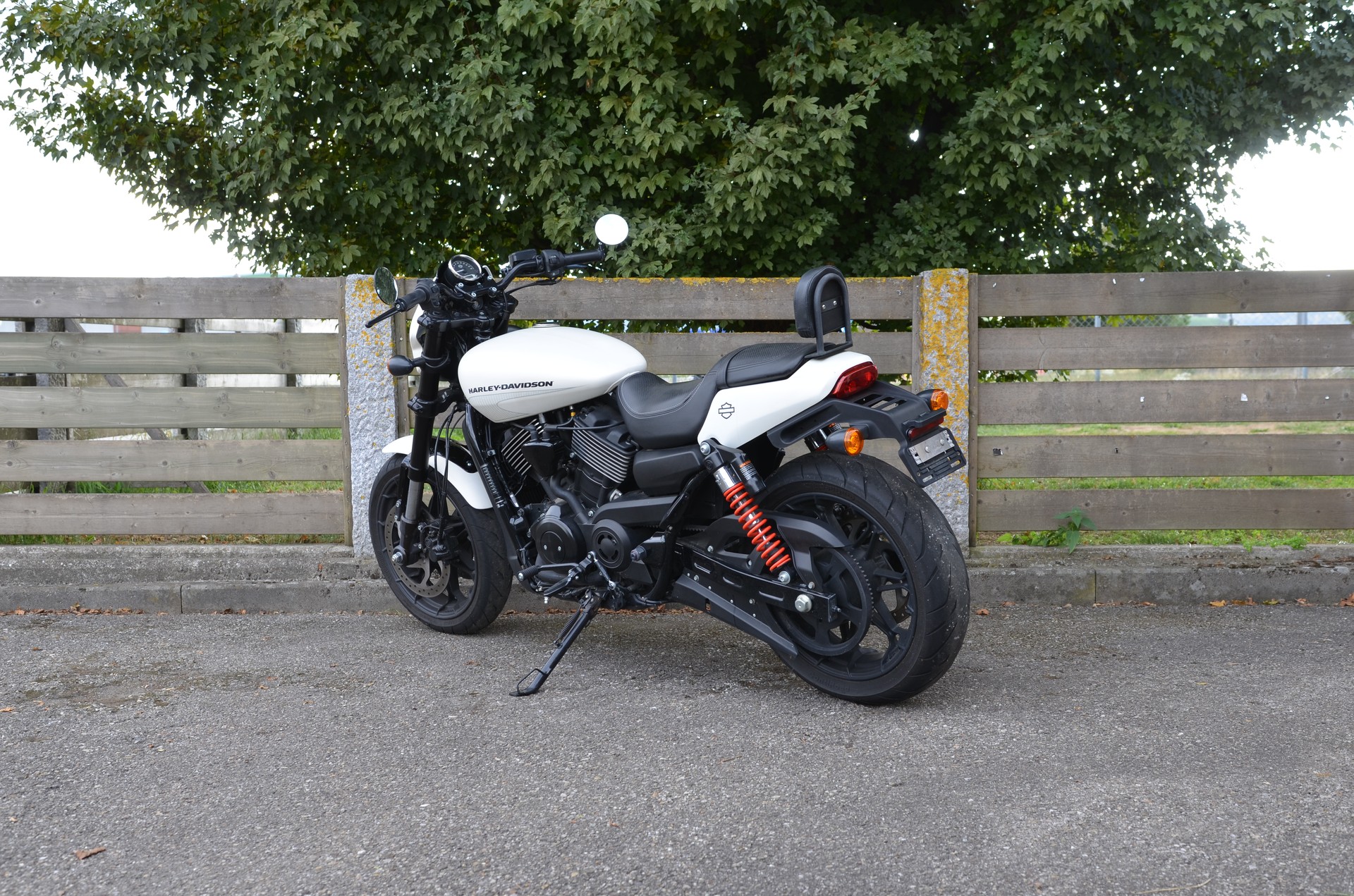 HARLEY-DAVIDSON XG 750 Street Rod-image-6