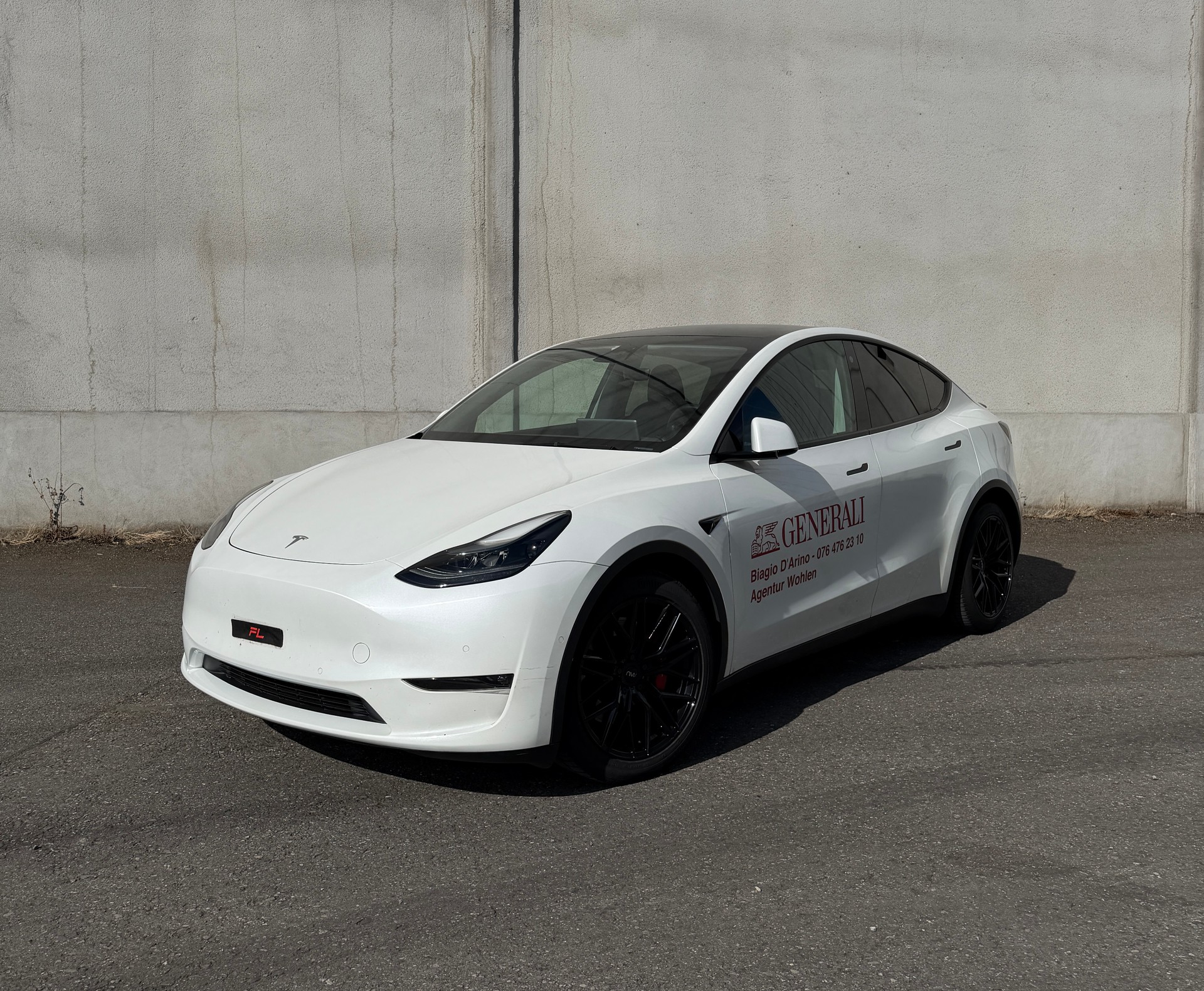 TESLA Model Y Performance