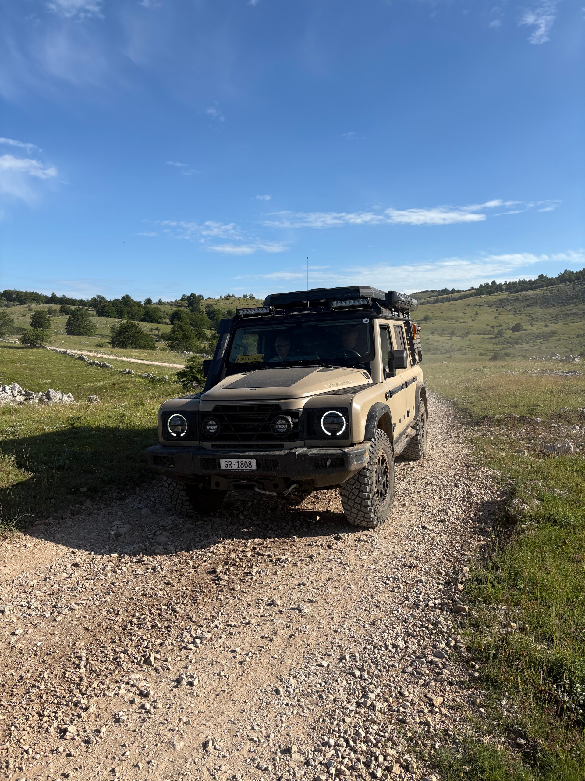 INEOS Grenadier Utility Wagon 3.0 Twin Turbo Diesel by capricorntrucks.ch-image-19