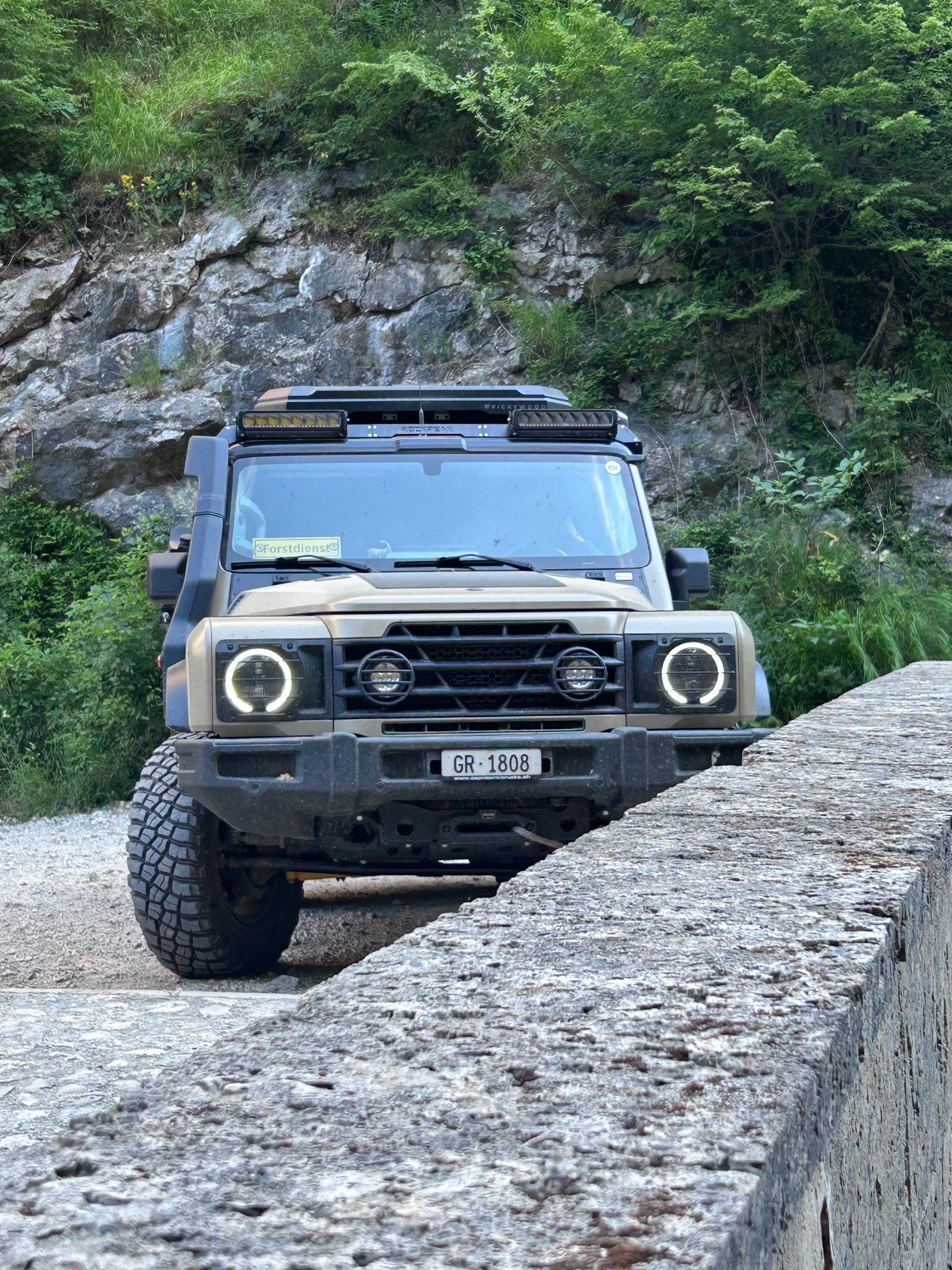 INEOS Grenadier Utility Wagon 3.0 Twin Turbo Diesel by capricorntrucks.ch-image-10