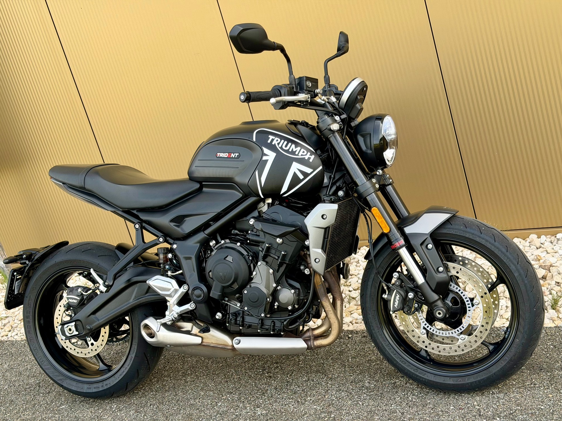 TRIUMPH Trident 660-image-2