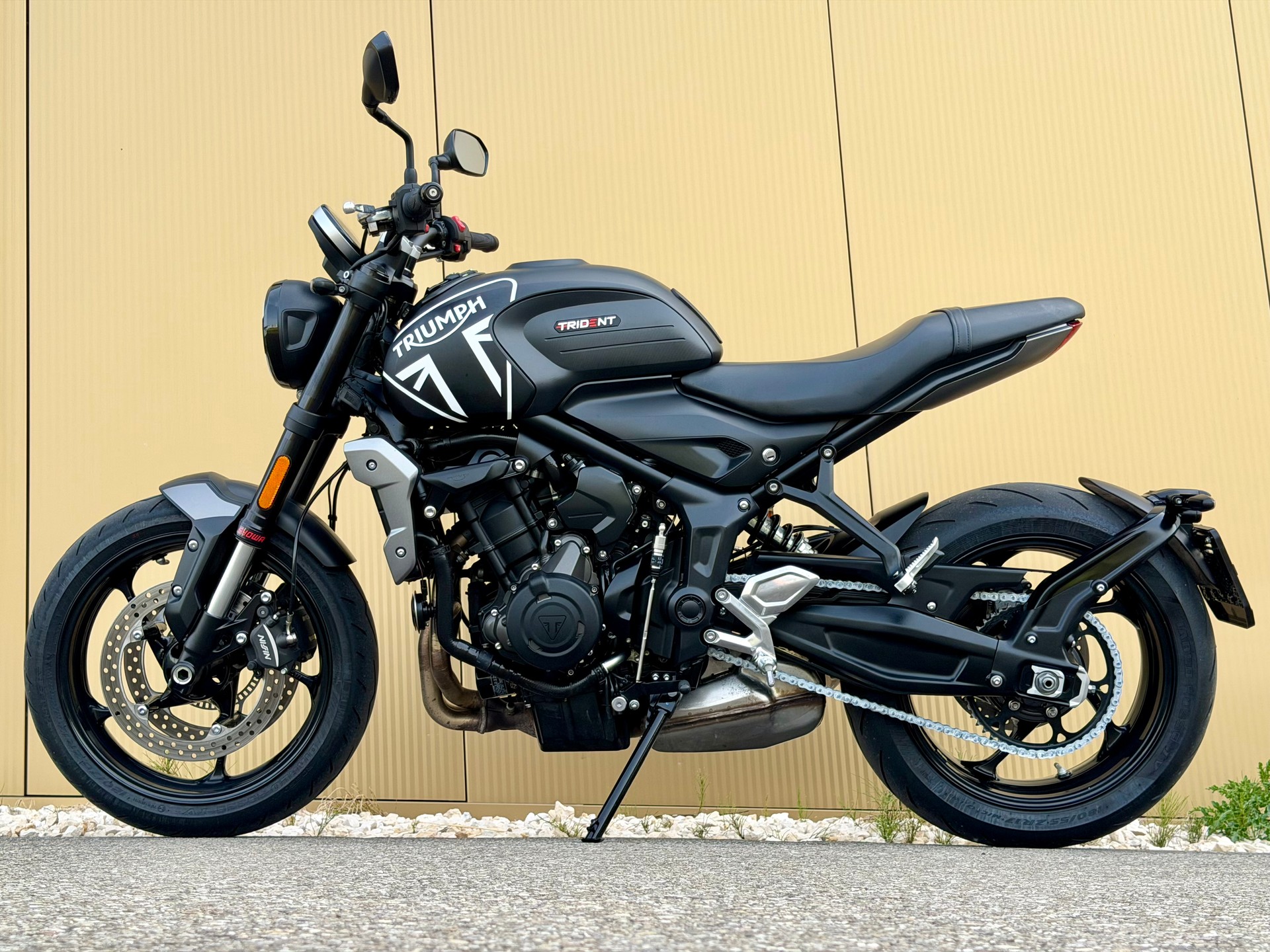 TRIUMPH Trident 660-image-10