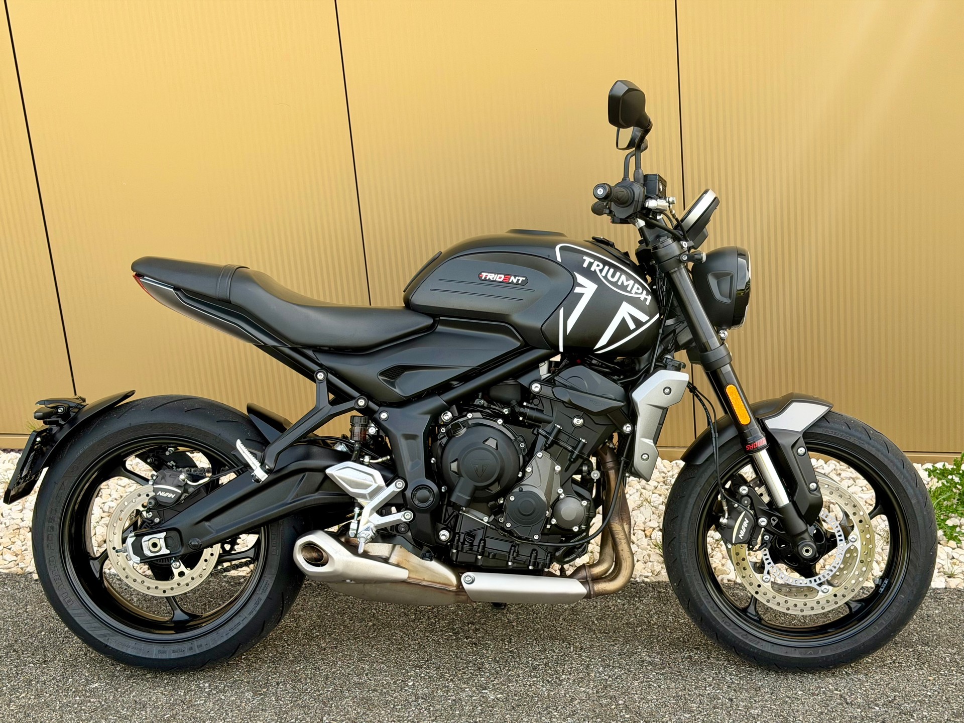 TRIUMPH Trident 660-image-3