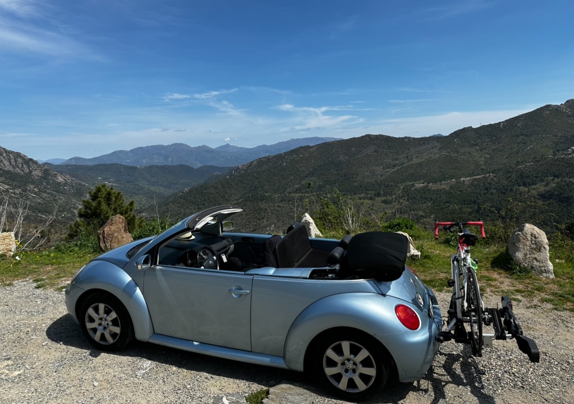 VW New Beetle 2.0-image-6