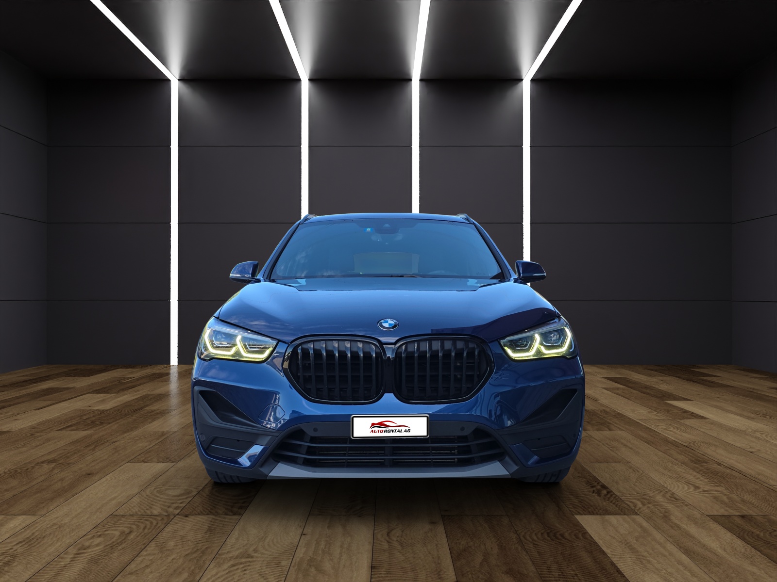 BMW X1 xDrive 25d Steptronic CH-Fahrzeug-showroom-element-2