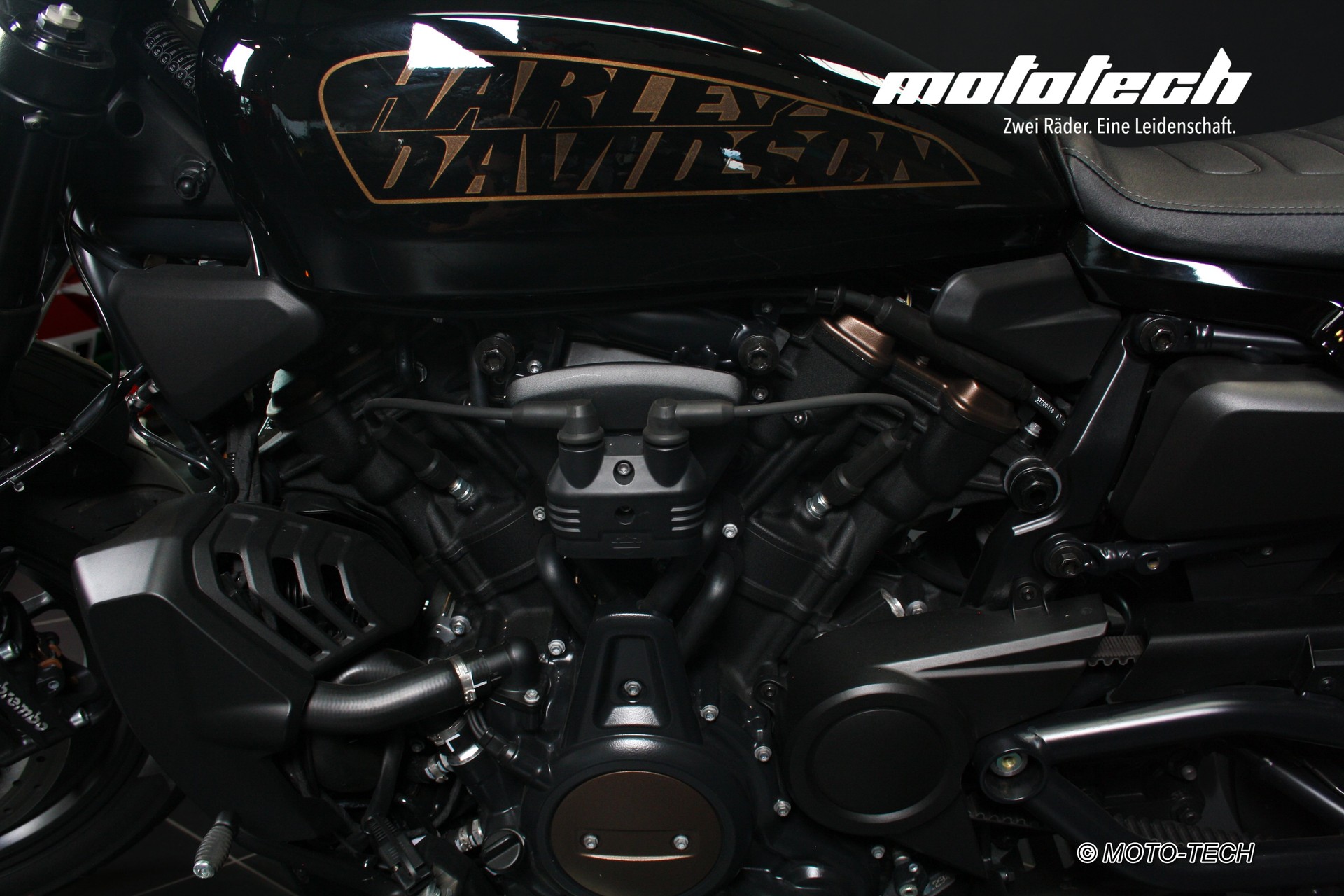 HARLEY-DAVIDSON RH 1250 Sportster S-image-8