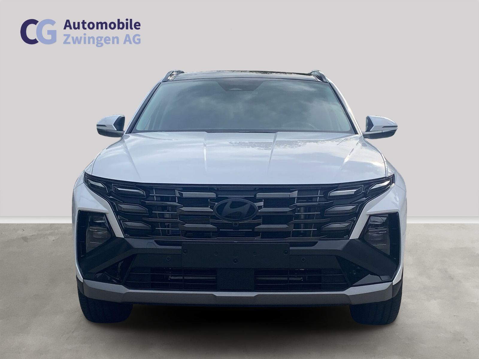 HYUNDAI Tucson 1.6 TGDI HEV Swiss Edition 4WD-image-10