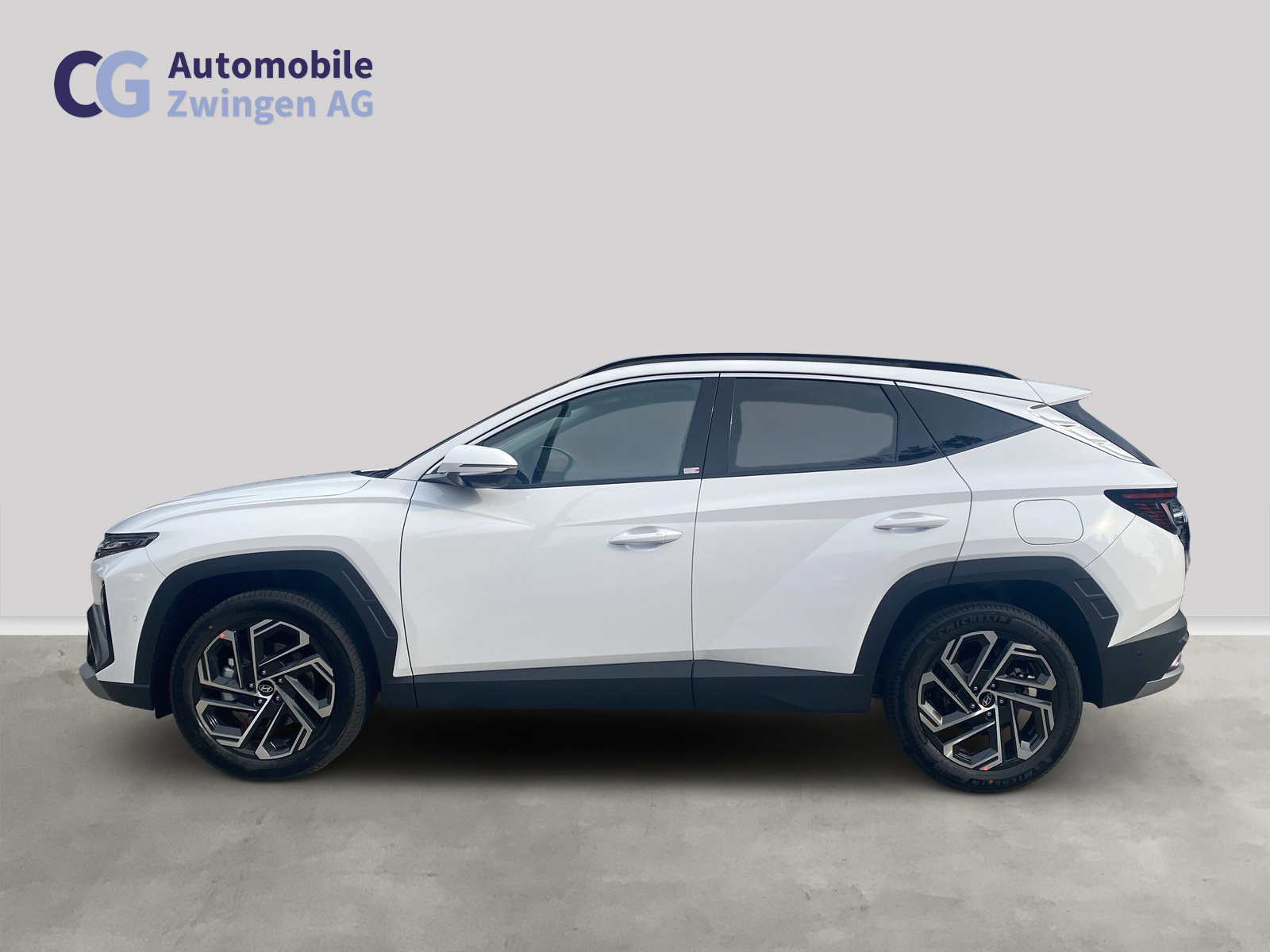 HYUNDAI Tucson 1.6 TGDI HEV Swiss Edition 4WD-showroom-element-1