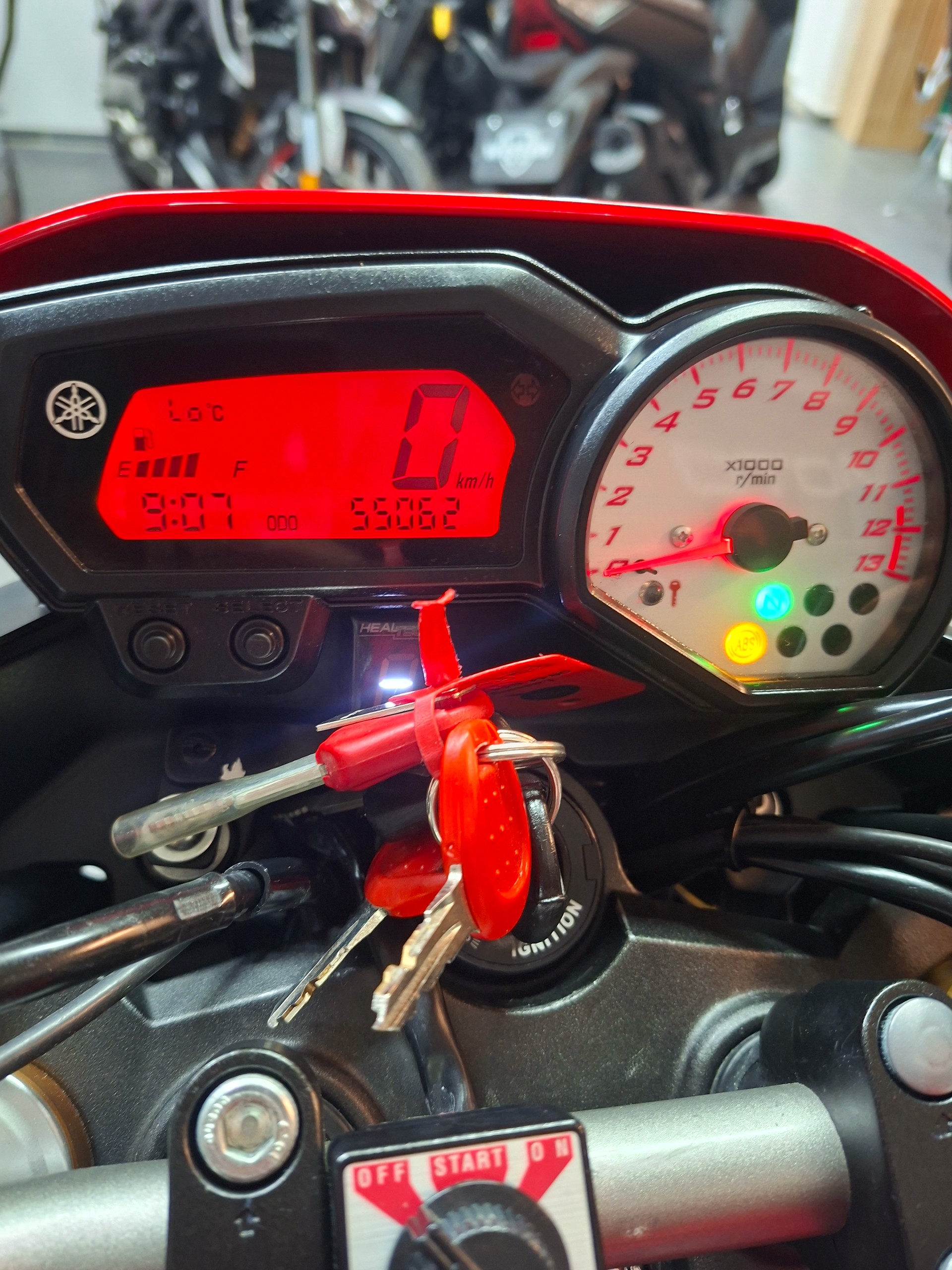 YAMAHA FZ8 N ABS 50th Anniversary-image-4