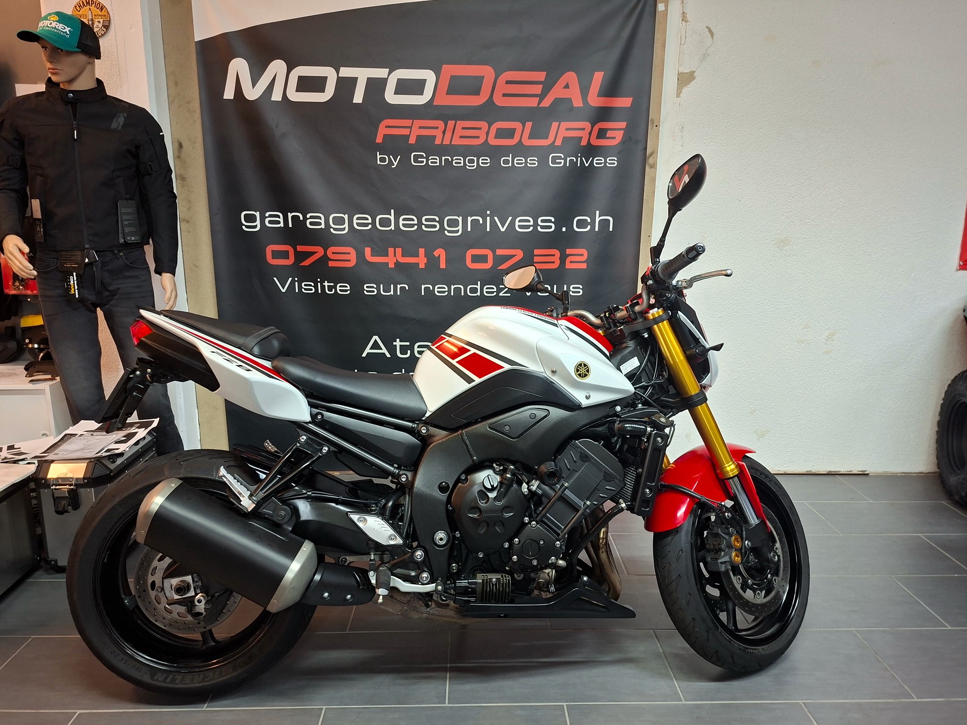 YAMAHA FZ8 N ABS 50th Anniversary-image-6