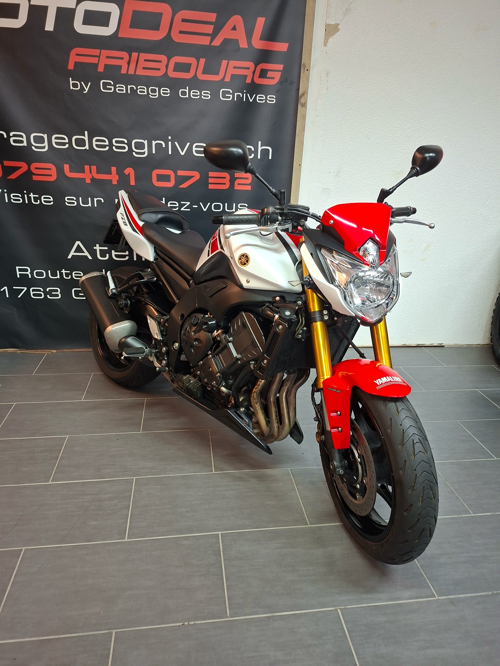 YAMAHA FZ8 N ABS 50th Anniversary-image-0