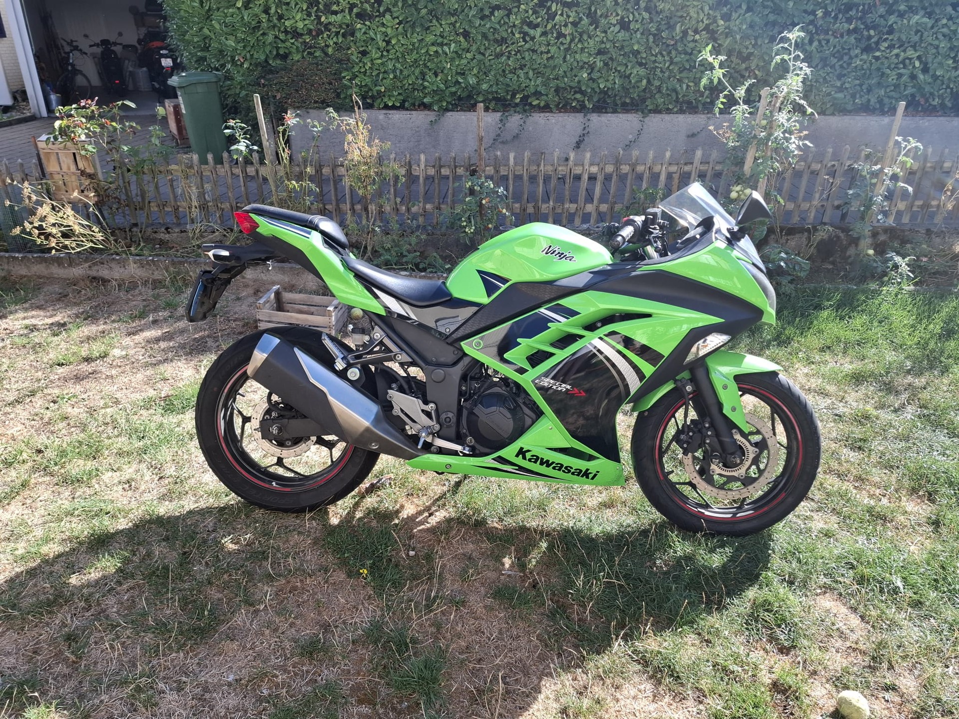 KAWASAKI Ninja 300 ABS-image-0