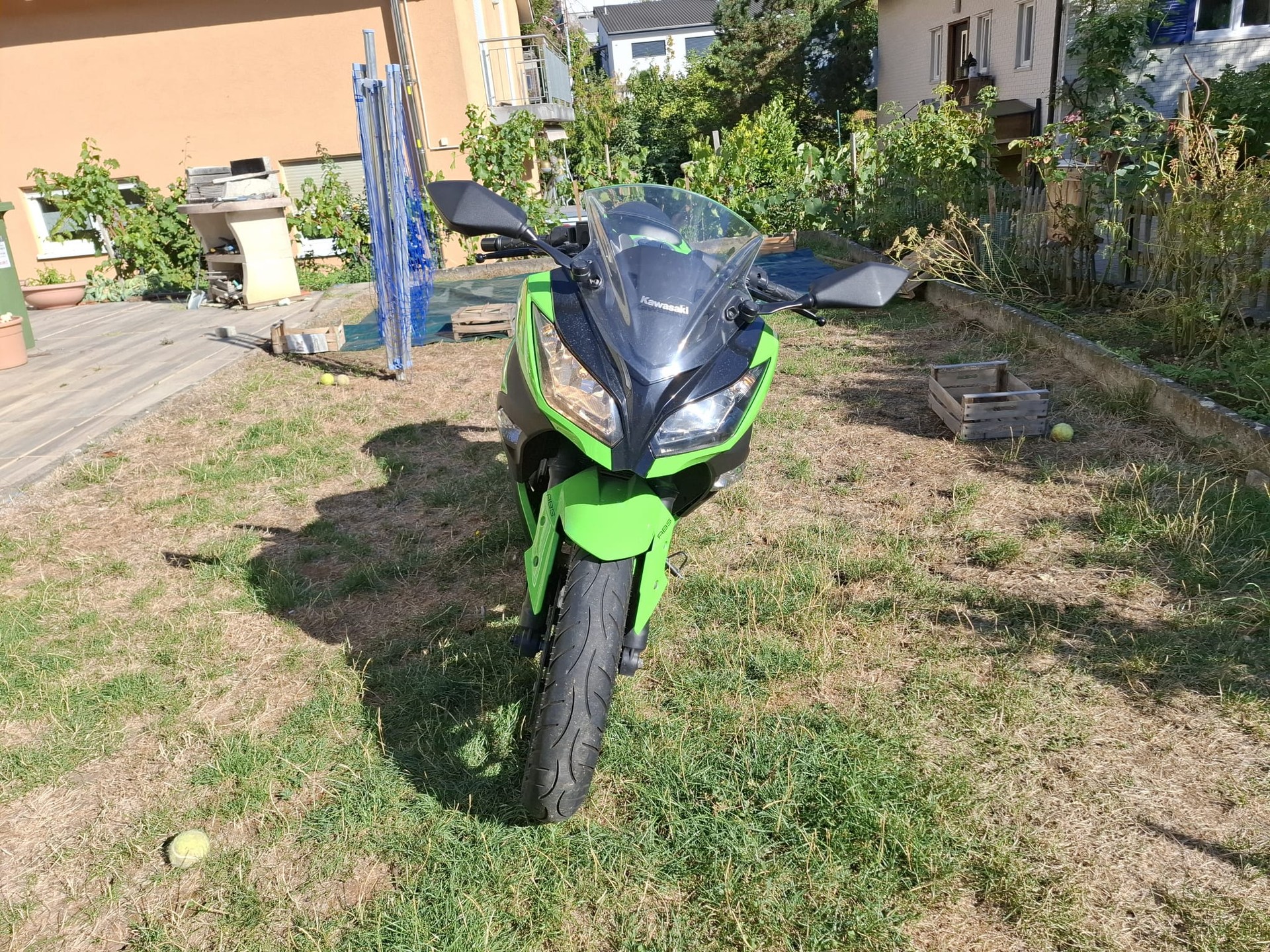 KAWASAKI Ninja 300 ABS-image-4