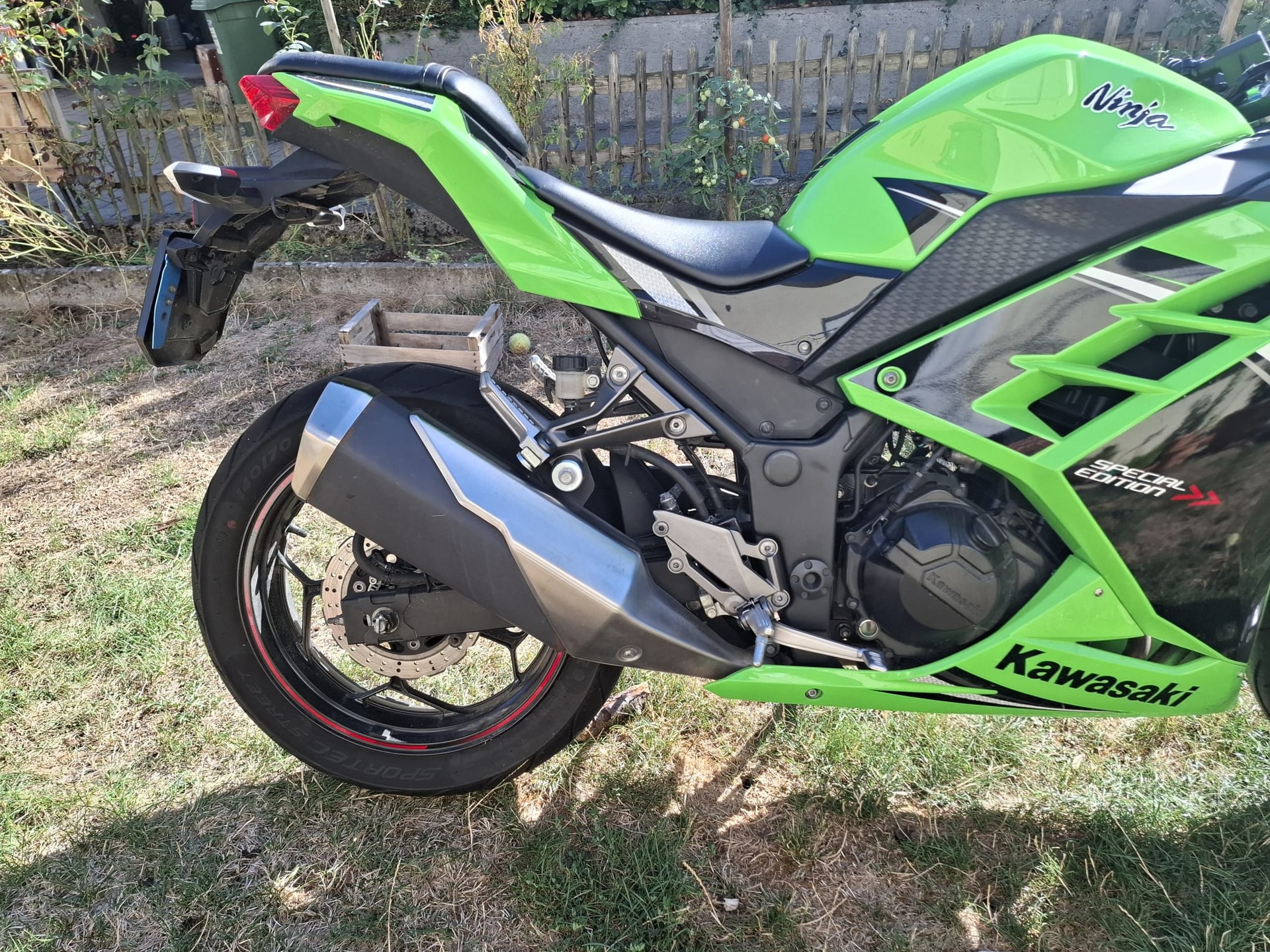 KAWASAKI Ninja 300 ABS-image-13