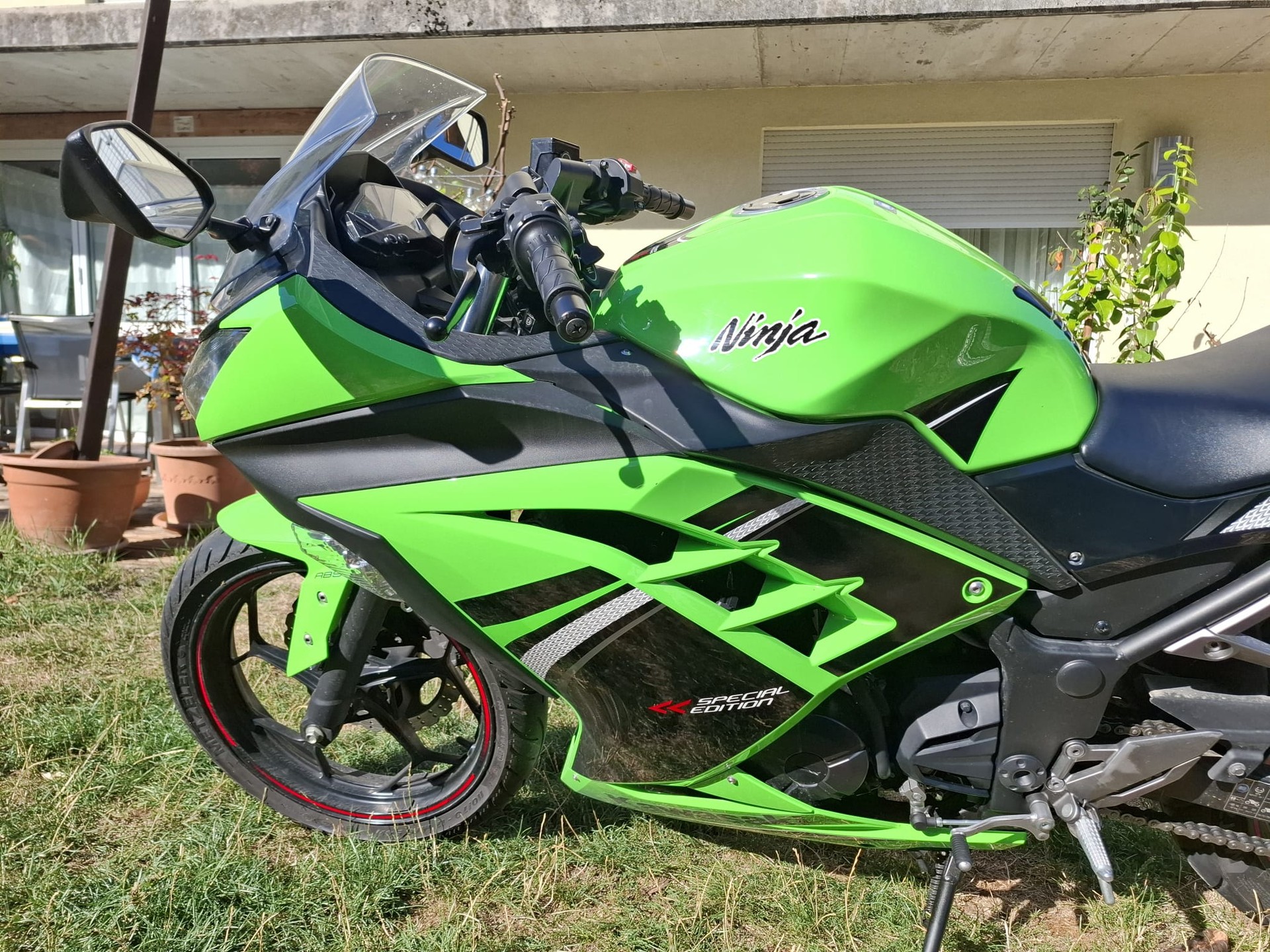 KAWASAKI Ninja 300 ABS-image-6