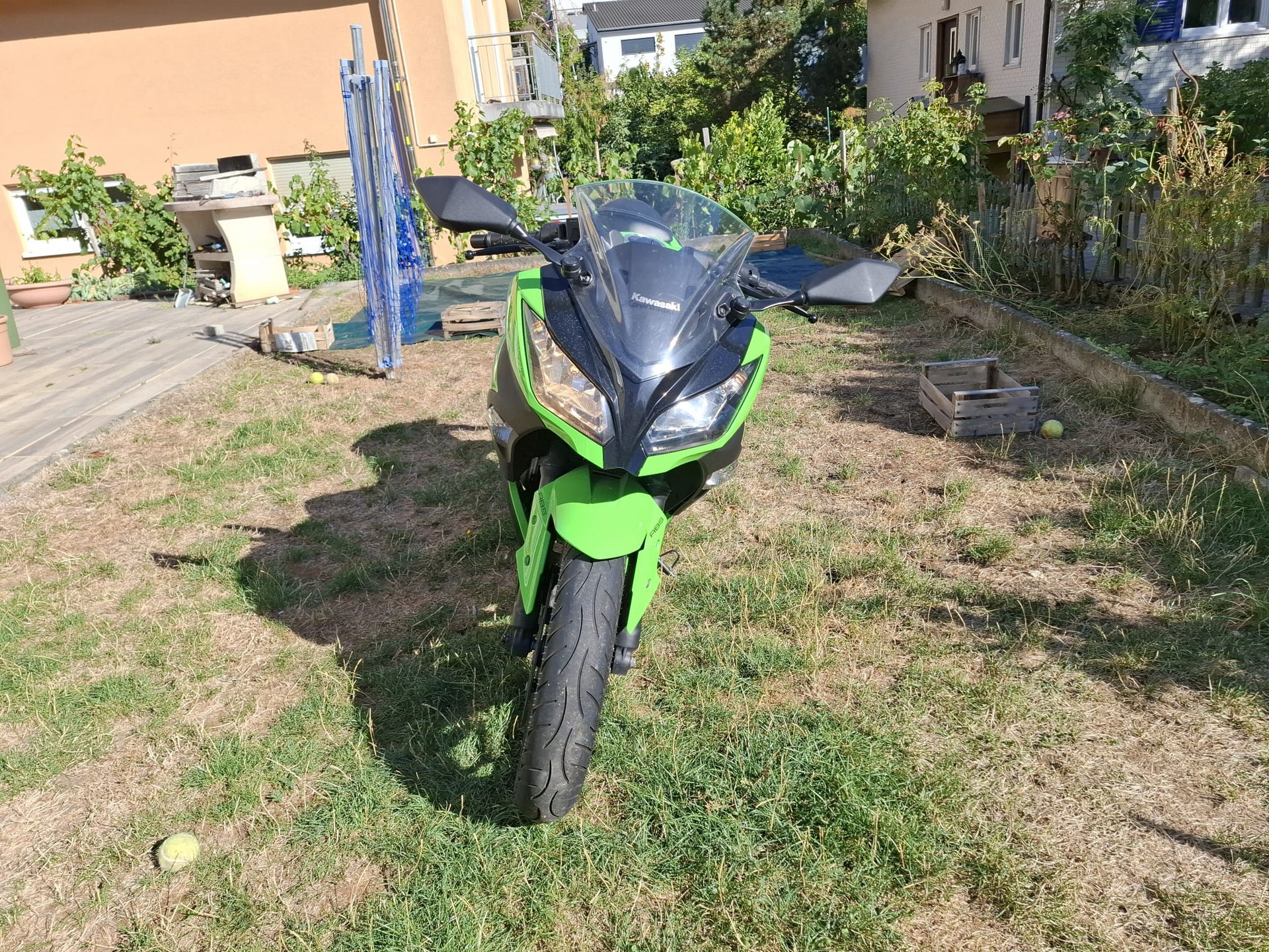 KAWASAKI Ninja 300 ABS-image-12