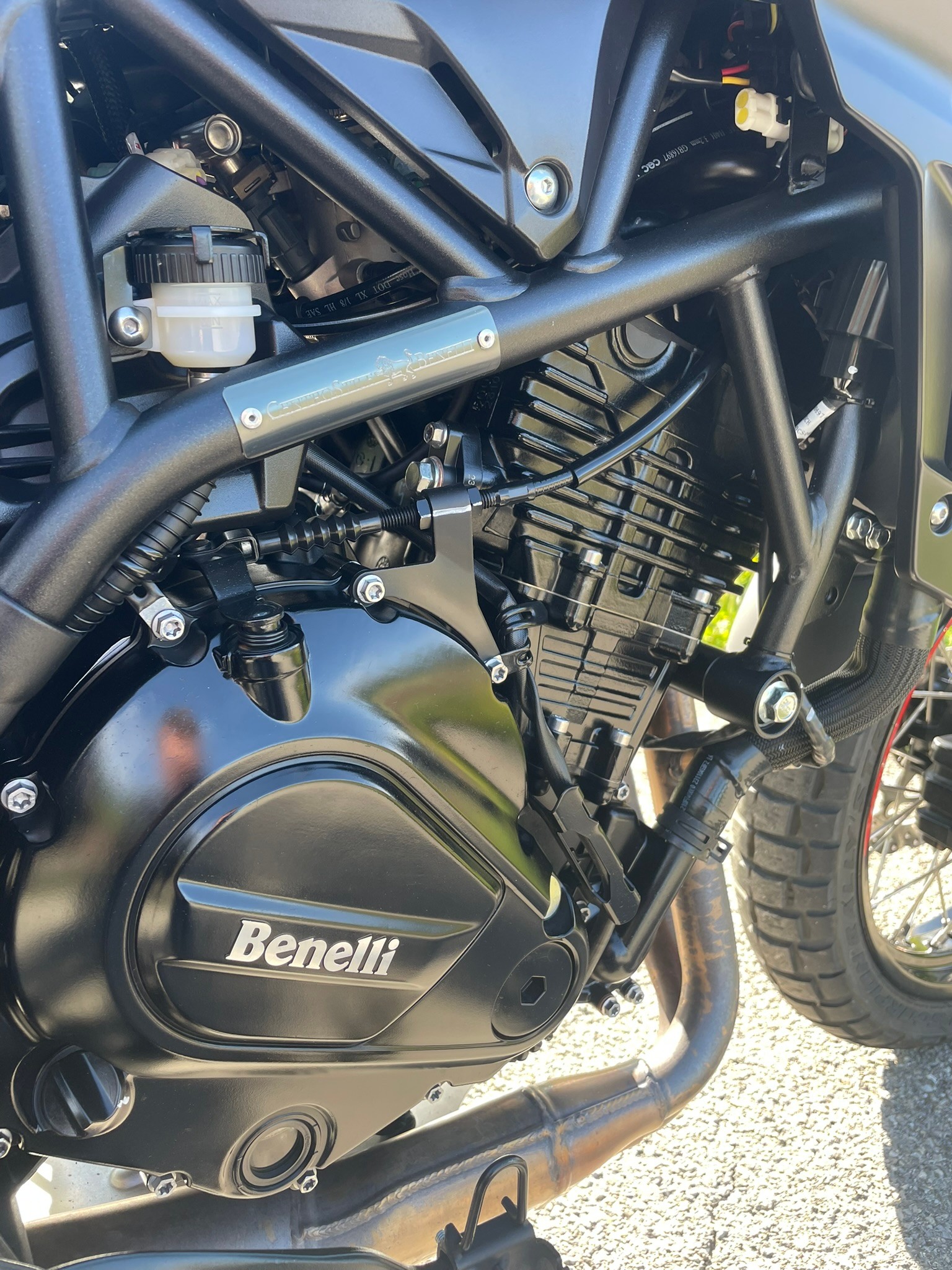 BENELLI TRK 702 X-image-8