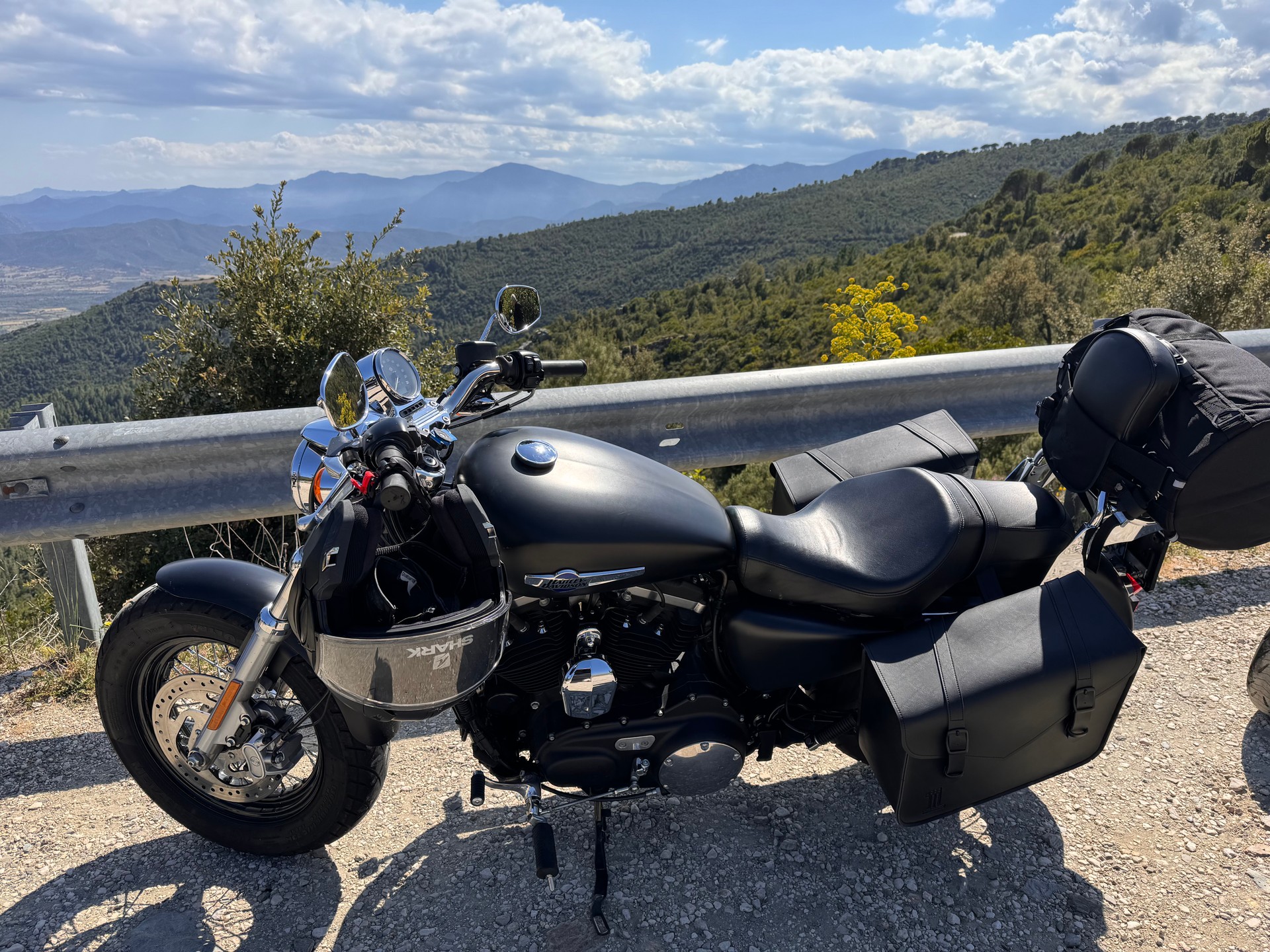 HARLEY-DAVIDSON XL 1200 CB Sportster Custom ABS-image-5
