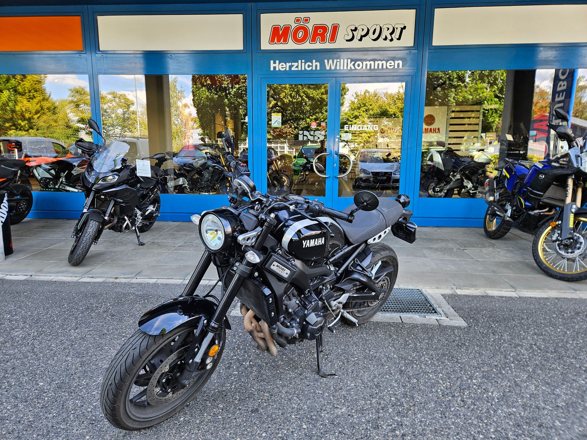 YAMAHA XSR 900-image-2