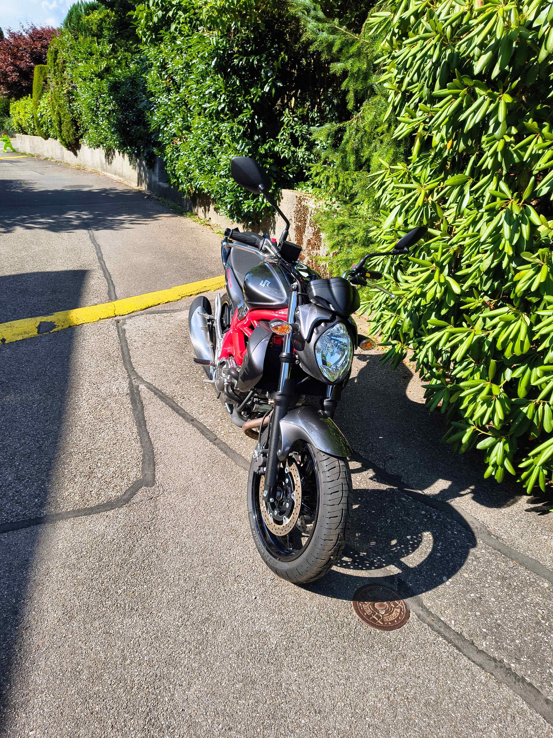 SUZUKI SFV 650 Gladius ABS (25kW)-image-2