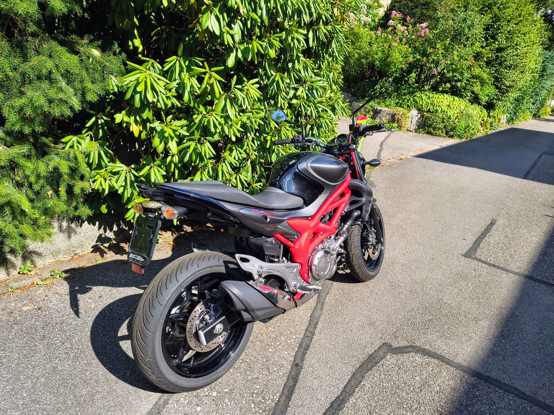 SUZUKI SFV 650 Gladius ABS (25kW)-image-3