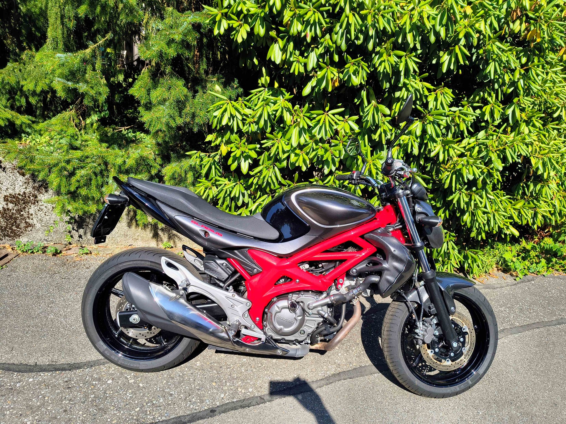 SUZUKI SFV 650 Gladius ABS (25kW)-image-1