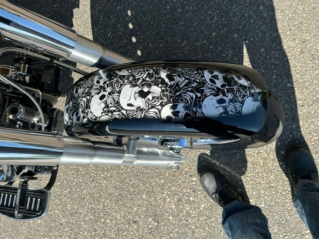 HARLEY-DAVIDSON FLSTF Fat Boy ABS-image-6