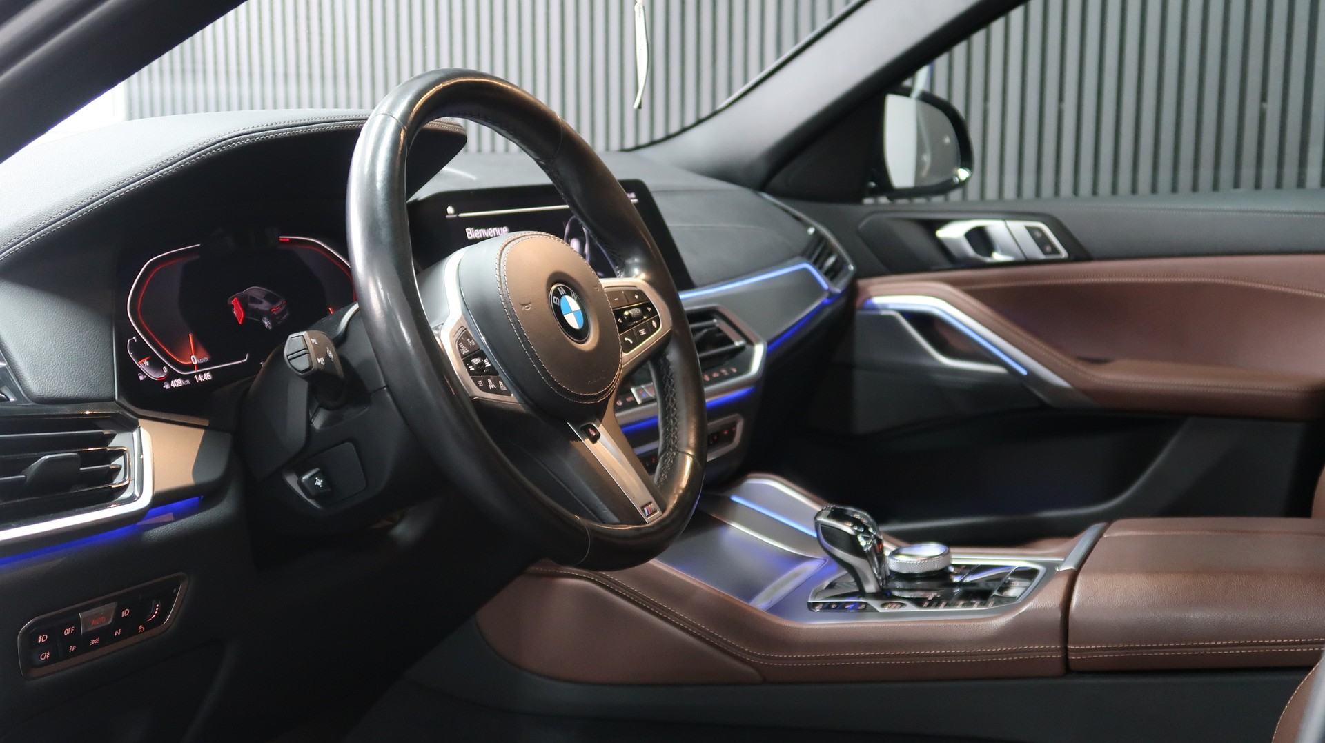 BMW X6 xDrive 40i / Pack-M / CH / MFK-image-26
