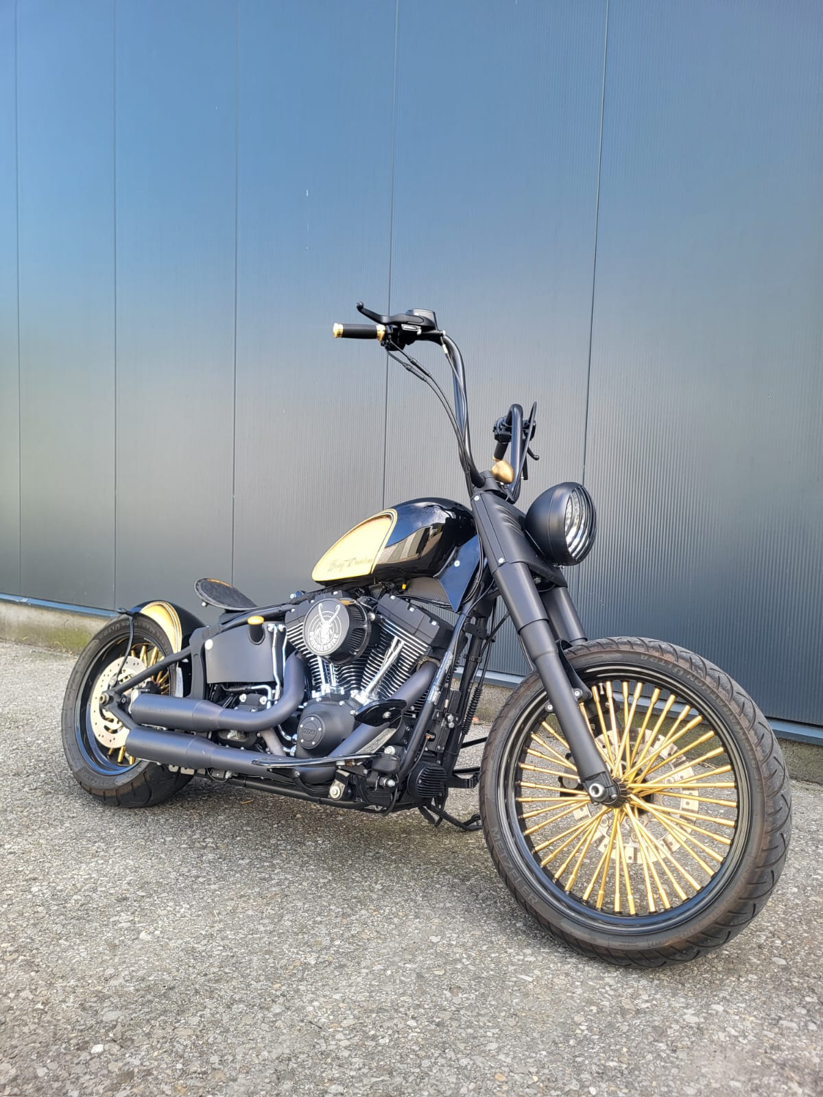 HARLEY-DAVIDSON FLSTFB-image-0