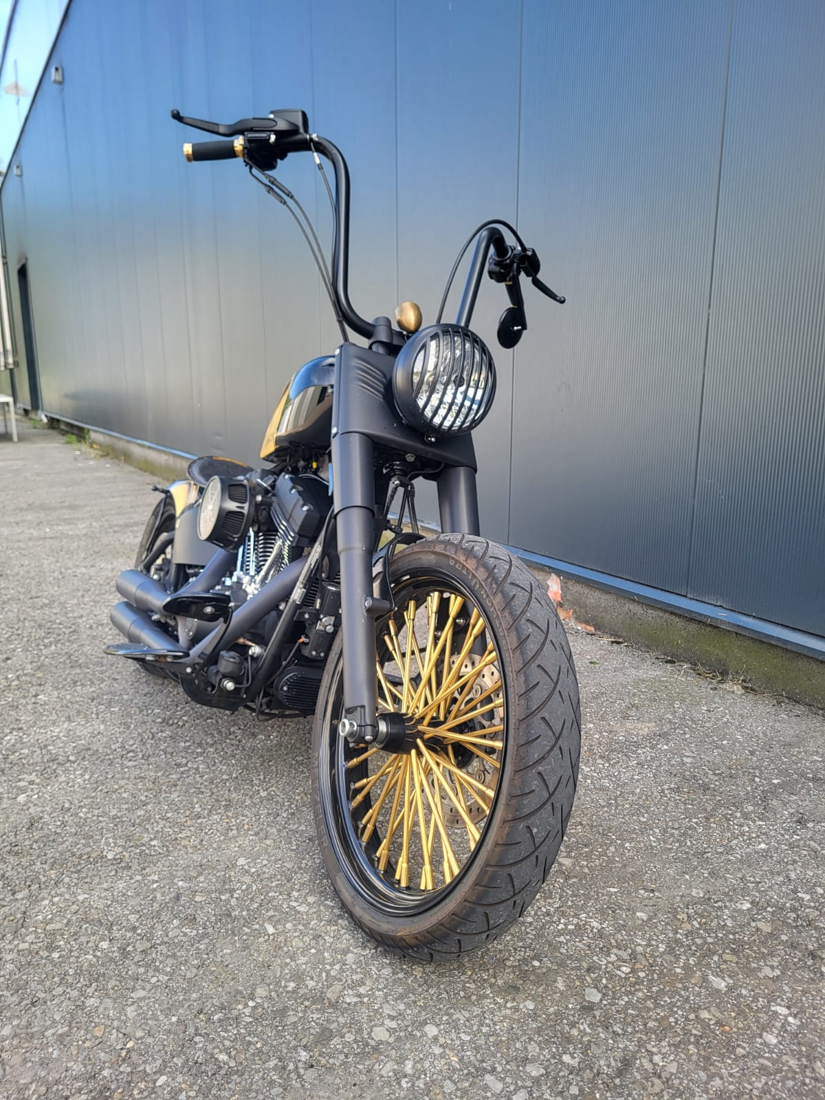 HARLEY-DAVIDSON FLSTFB-image-3
