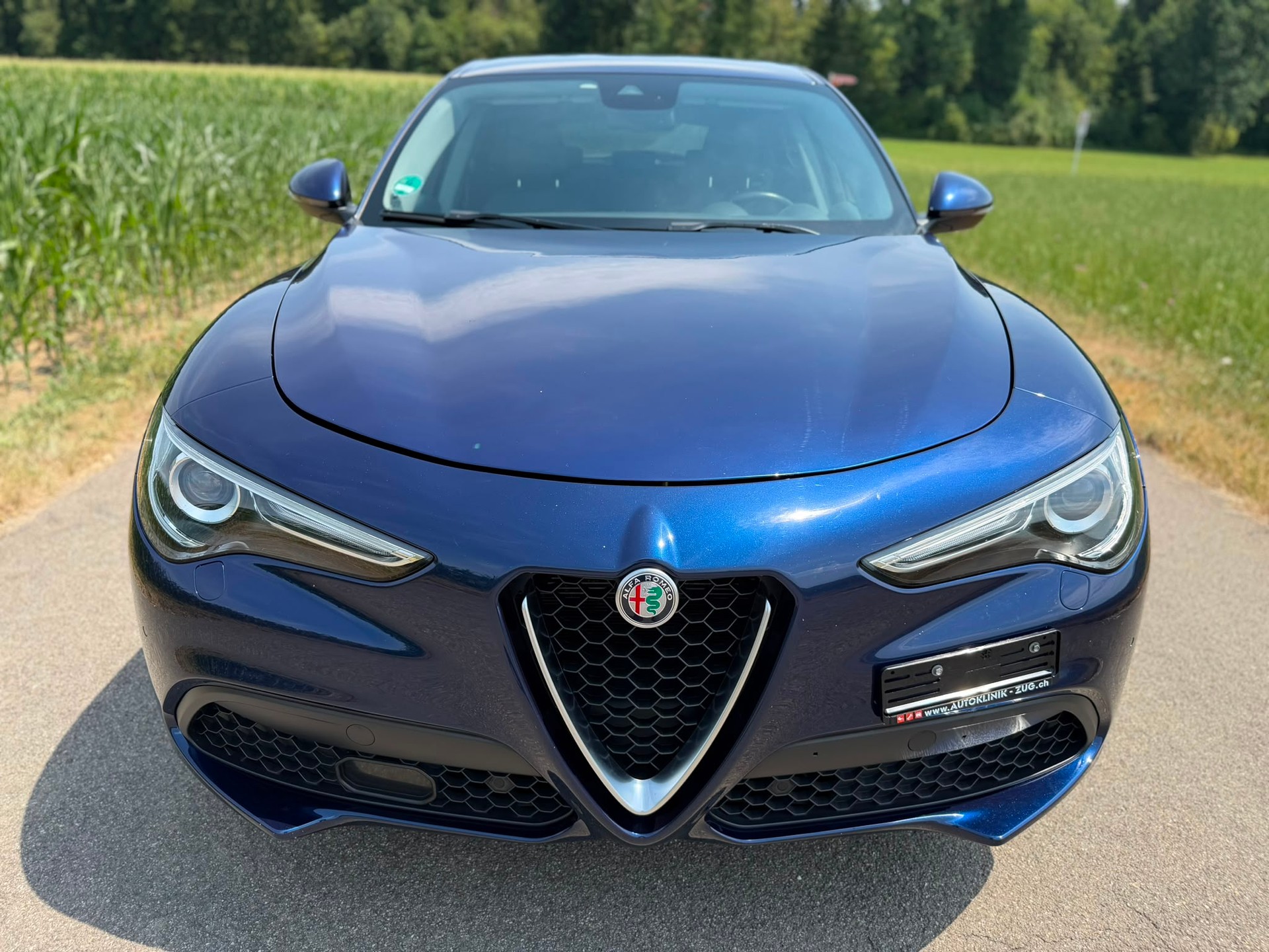 ALFA ROMEO Stelvio 2.2 JTDM Executive Q4 Automatic-showroom-element-2