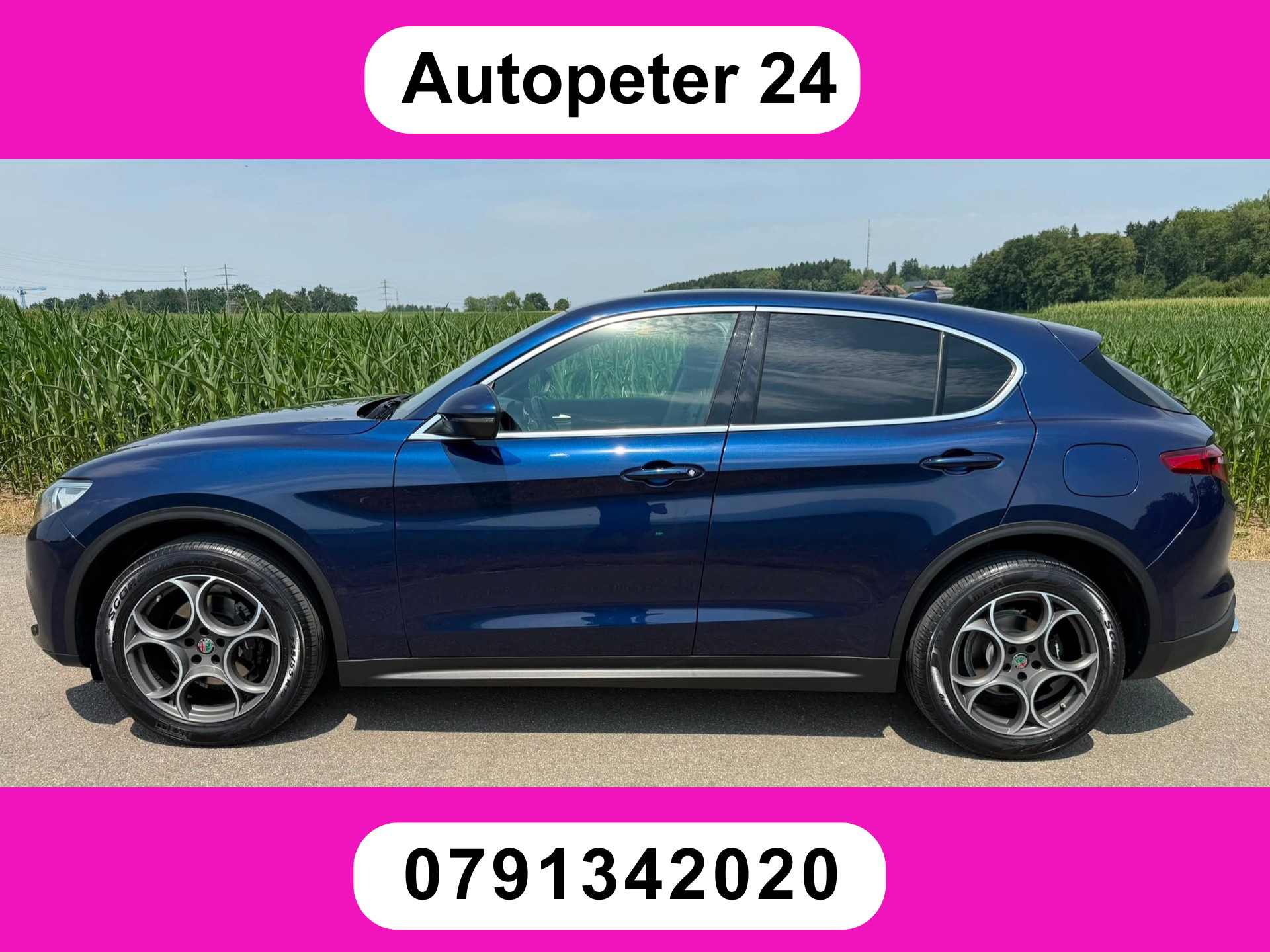 ALFA ROMEO Stelvio 2.2 JTDM Executive Q4 Automatic
