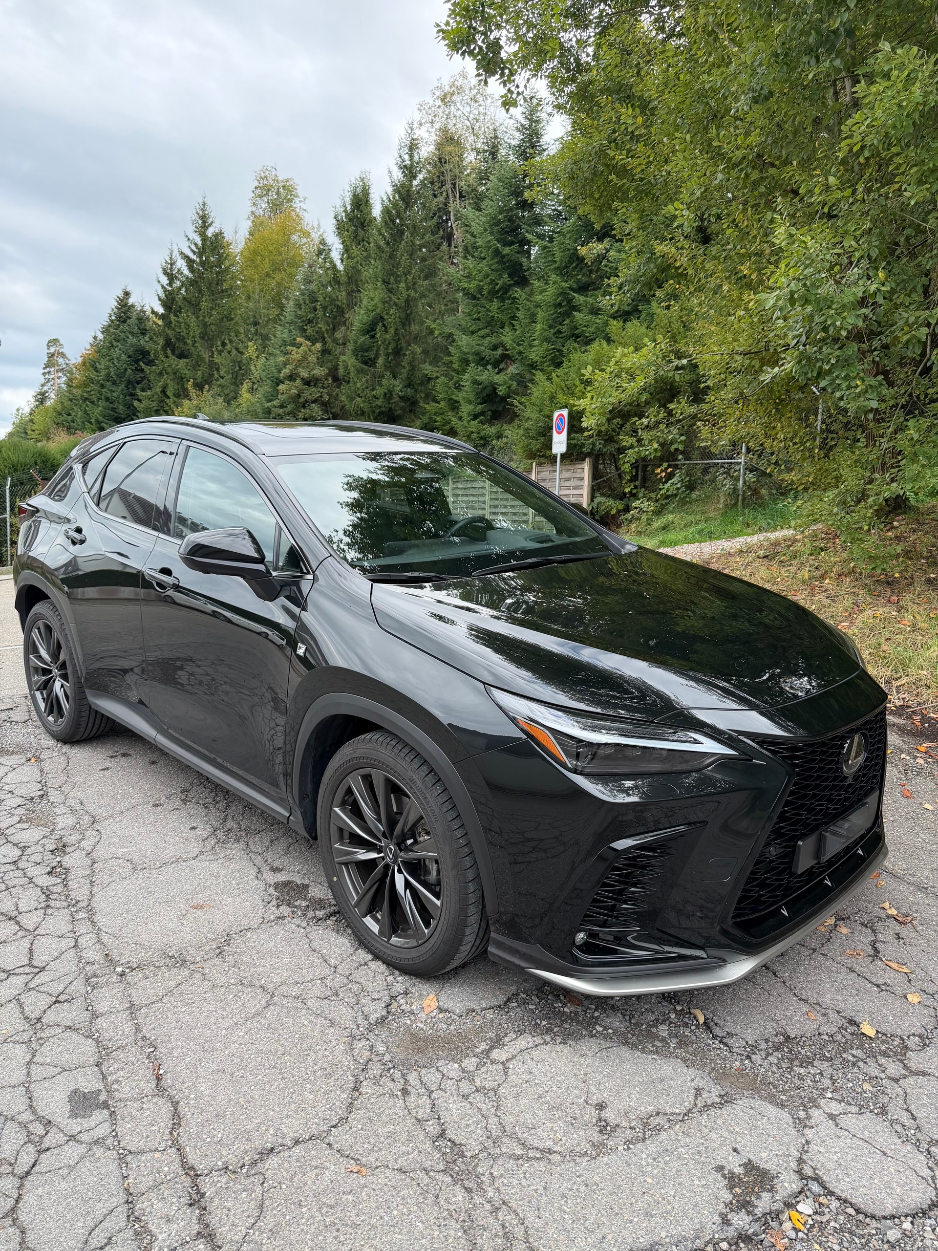 LEXUS 450h+ F-Sport