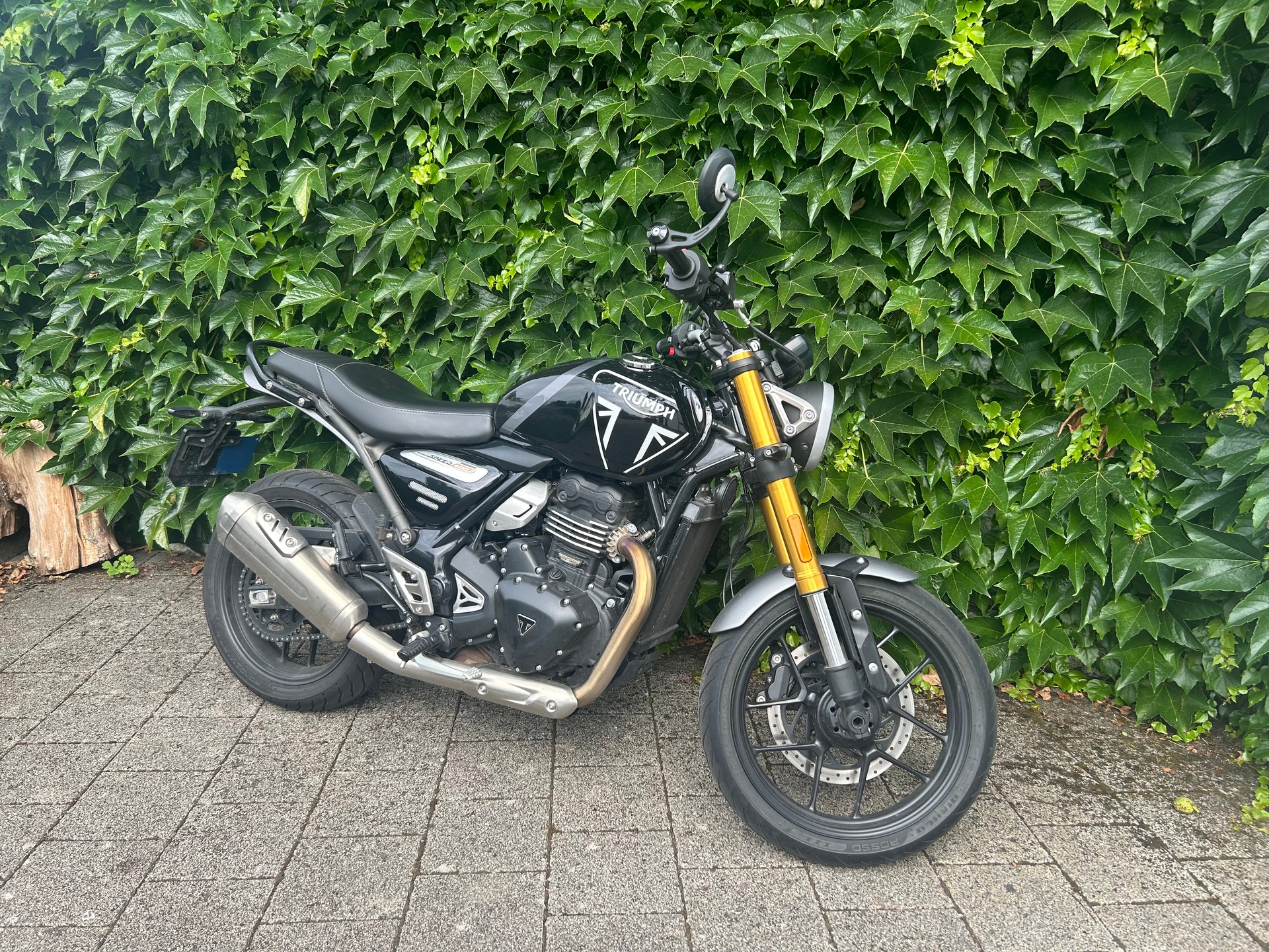 TRIUMPH Speed 400-image-0