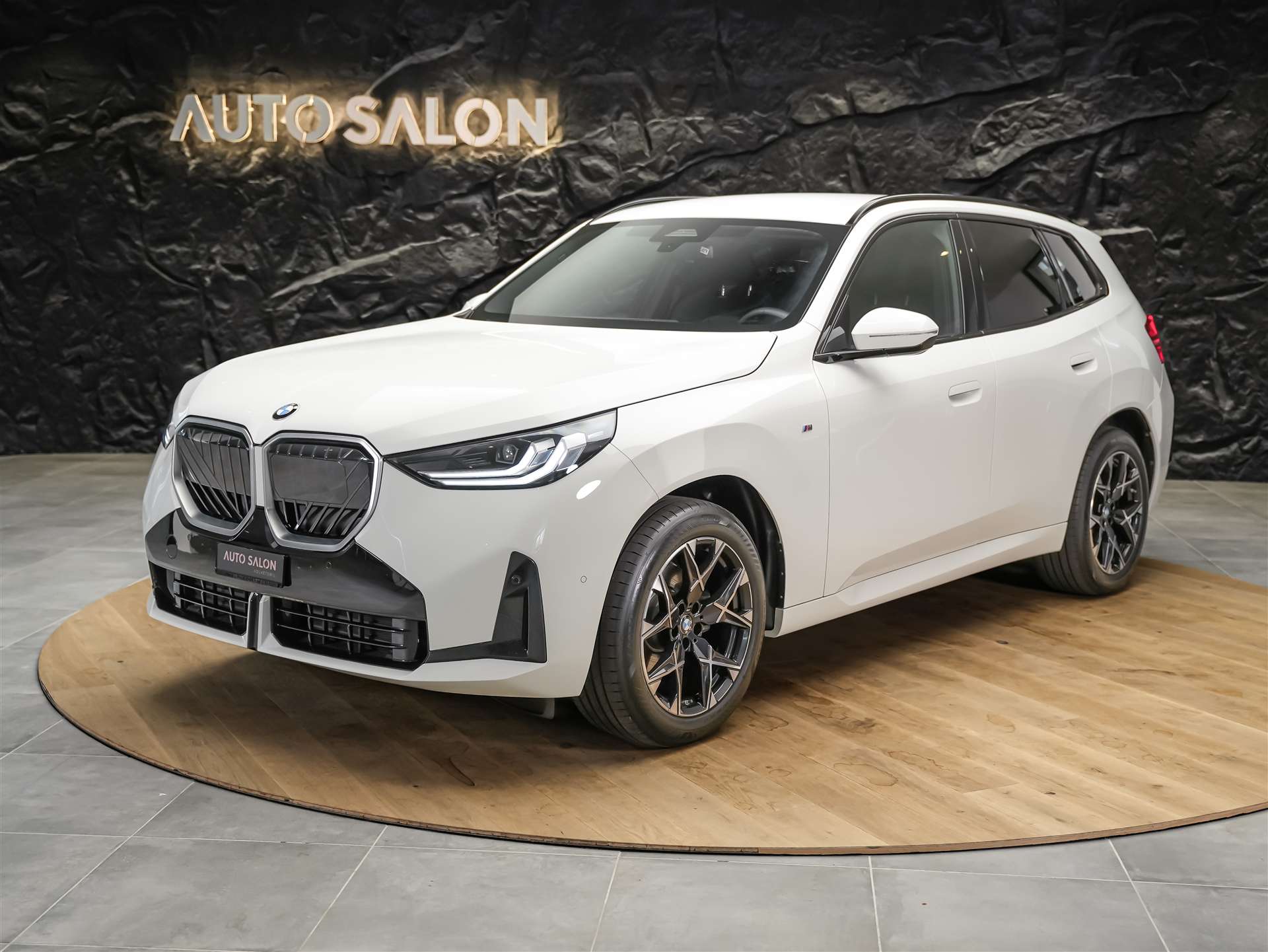 BMW X3 20d xDrive M Sport*Werksgarantie*El. Sitze mit Memory*Anhängerkupplung*-showroom-element-1