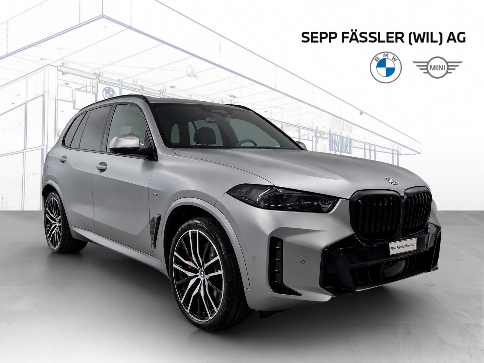 BMW X5 xDrive 50e M Sport Pro-image-9