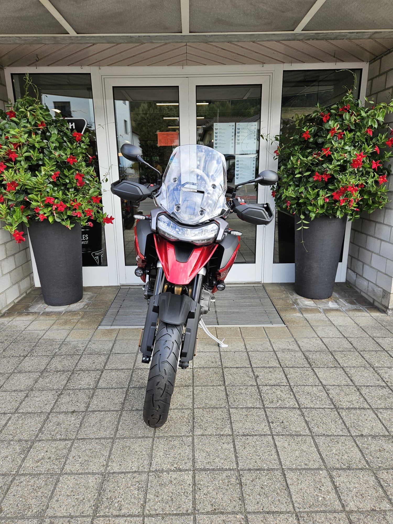 TRIUMPH Tiger 1200 GT Pro-image-6