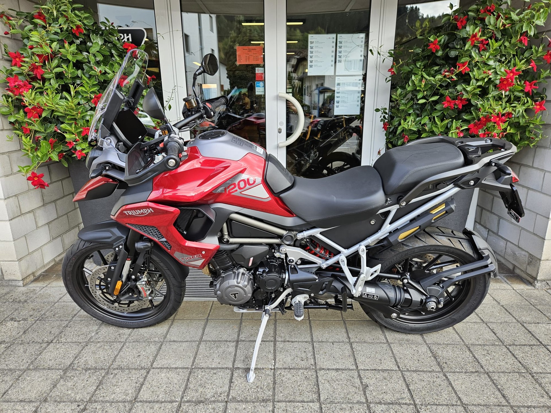 TRIUMPH Tiger 1200 GT Pro-image-4