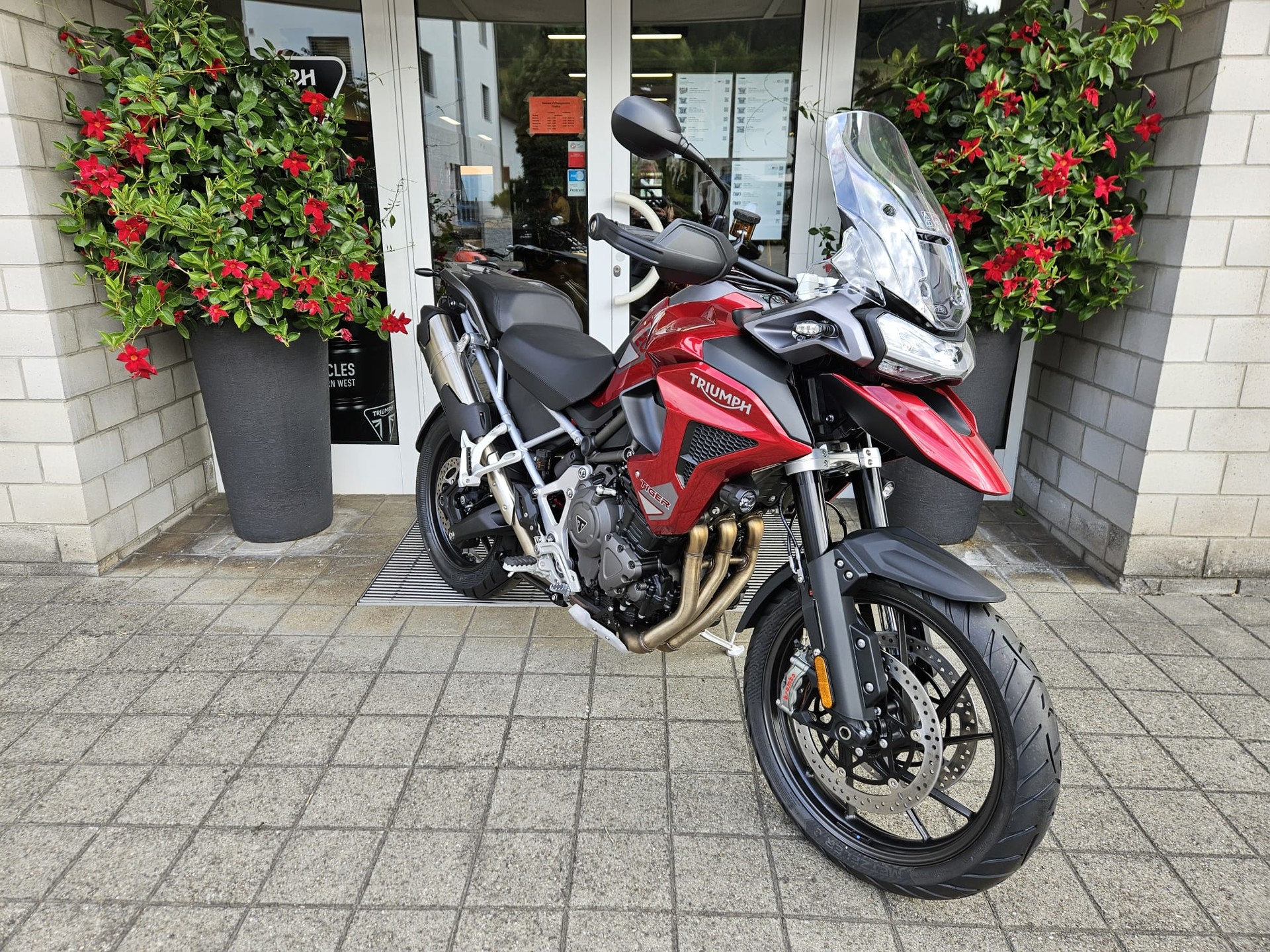 TRIUMPH Tiger 1200 GT Pro-image-3