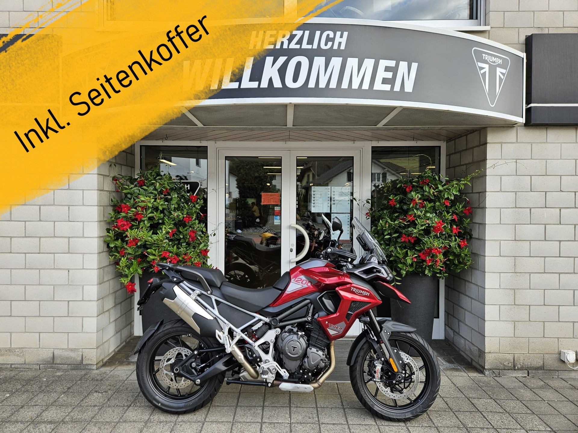 TRIUMPH Tiger 1200 GT Pro-image-0