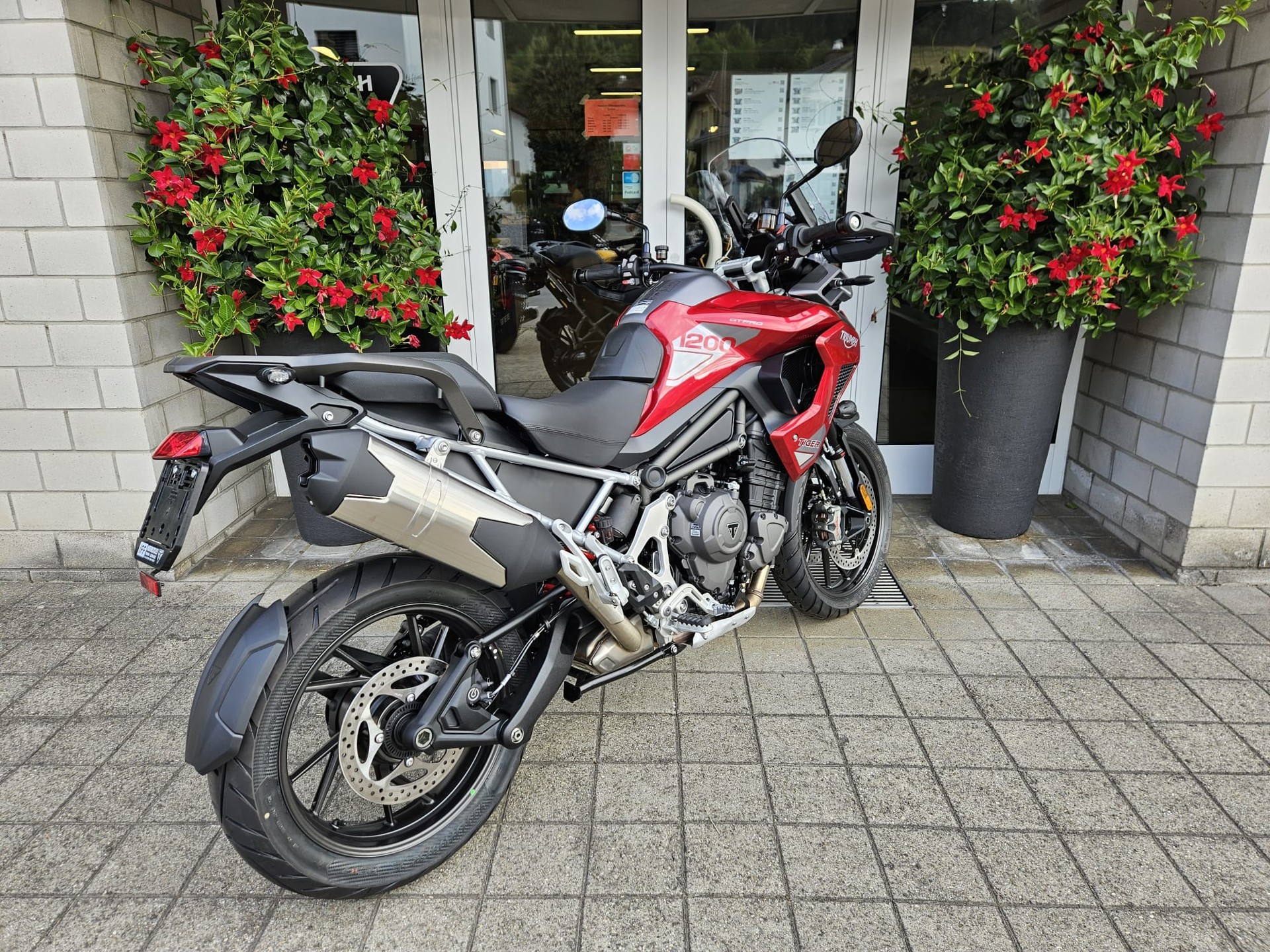 TRIUMPH Tiger 1200 GT Pro-image-5