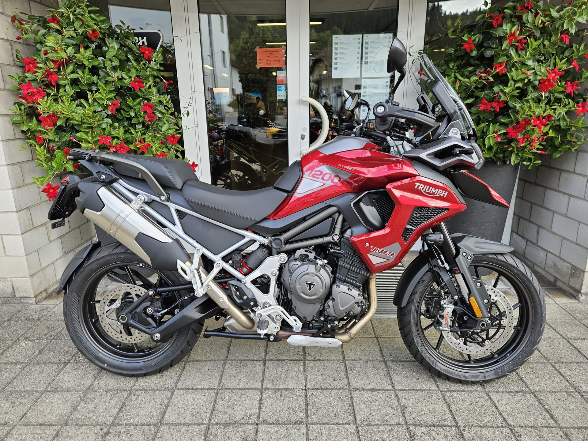 TRIUMPH Tiger 1200 GT Pro-image-2