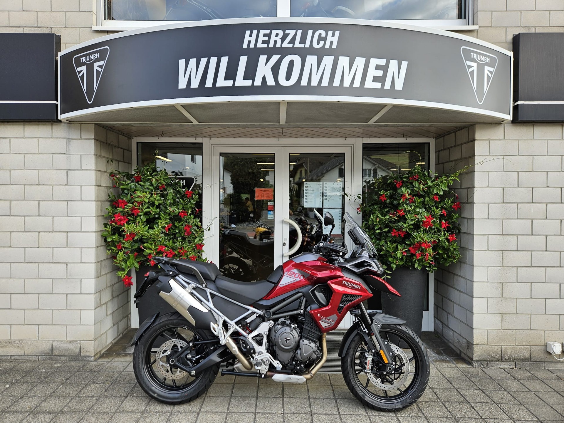 TRIUMPH Tiger 1200 GT Pro-image-1