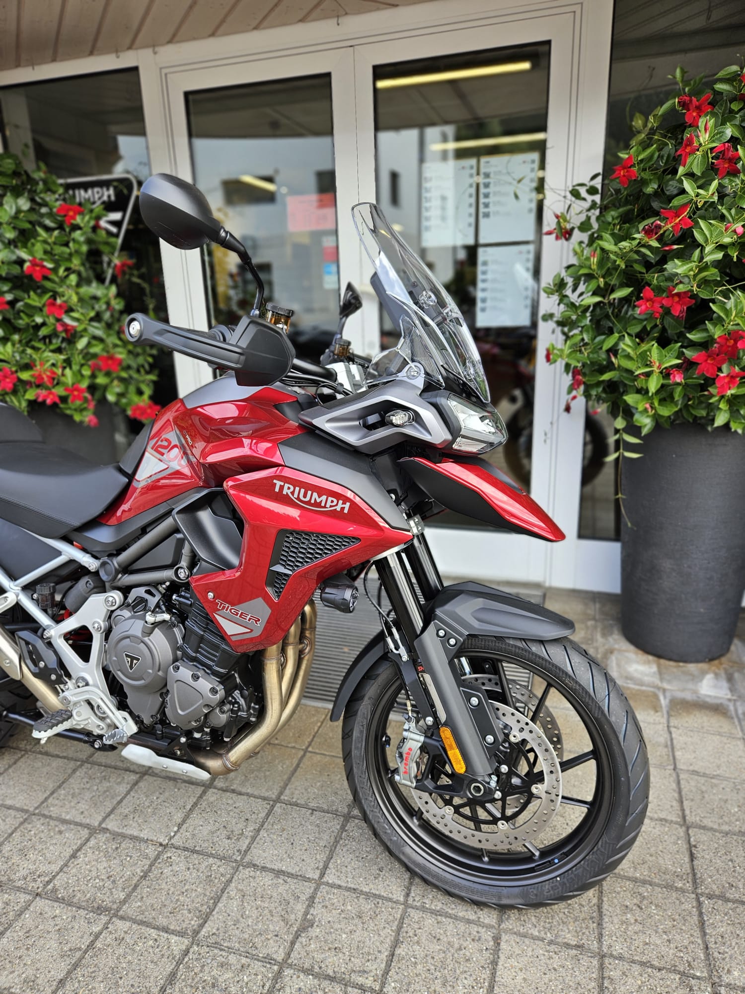 TRIUMPH Tiger 1200 GT Pro-image-8