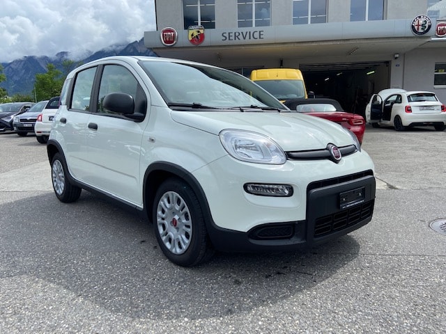 FIAT Panda 1.0 MHEV Cult-image-3